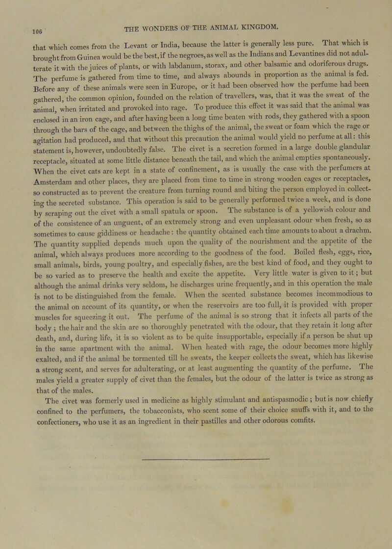 that which comes from the Levant or India, because the latter is generally less pure. That which is brought from Guinea would be the best, if the negroes, as well as the Indians and Levantines did not adul- terate it with the juices of plants, or with labdanum, storax, and other balsamic and odoriferous drugs. The perfume is gathered from time to time, and always abounds in proportion as the animal is fed. Before any of these animals were seen in Europe, or it had been observed how the perfume had been gathered, the common opinion, founded on the relation of travellers, was, that it was the sweat of the animal, when irritated and provoked into rage. To produce this effect it was said that the animal was enclos^ in an iron cage, and after having been a long time beaten with rods, they gathered with a spoon through the bars of the cage, and between the thighs of the animal, the sweat or foam which the rage or agitation liad produced, and that without this precaution the animal would yield no perfume at all: this statement is, however, undoubtedly false. The civet is a secretion formed in a large double glandular receptacle, situated at some bttle distance beneath the tail, and which the animal empties spontaneously. When the civet cats are kept in a state of conHnement, as is usually the case with the perfumers at Amsterdam and other places, they are placed from time to time in strong wooden cages or receptacles, so constructed as to prevent the creature from turning round and biting the person employed in collect- ing the secreted substance. This operation is said to be generally performed twice a week, and is done by scraping out the civet with a small spatula or spoon. The substance is of a yellowish colour and of the consistence of an unguent, of an extremely strong and even unpleasant odour when fresh, so as sometimes to cause giddiness or headache; the quantity obtained each time amounts to about a drachm. The quantity supplied depends much upon the quality of the nourishment and the appetite of the animal, which always produces more according to the goodness of the food. Boiled flesh, eggs, rice, small animals, birds, young poultry, and especially fishes, are the best kind of food, and they ought to be so varied as to preserve the health and excite the appetite. Very little water is given to it; but although the animal drinks very seldom, he discharges urine frequently, and in this operation the male is not to be distinguished from the female. When the scented substance becomes incommodious to the animal on account of its quantity, or when the reservoirs are too full, it is provided with proper muscles for squeezing it out. The perfume of the animal is so strong that it infects all parts of the body ; the hair and the skin arc so thoroughly penetrated with the odour, that they retain it long after death, and, during life, it is so violent as to be quite insupportable, especially if a person be shut up in the same apartment with the animal. When heated with rage, the odour becomes more highly exalted, and if the animal be tormented till he sweats, the keeper collects the sweat, which has likewise a strong scent, and serves for adulterating, or at least augmenting the quantity of the perfume. The males yield a greater supply of civet than the females, but the odour of the latter is twice as strong as that of the males. The civet was formerly used in medicine as highly stimulant and antispasmodic; but is now chiefly confined to the perfumers, the tobacconists, who scent some of their choice snuffs with it, and to the confectioners, who use it as an ingredient in their pastilles and other odorous comfits.