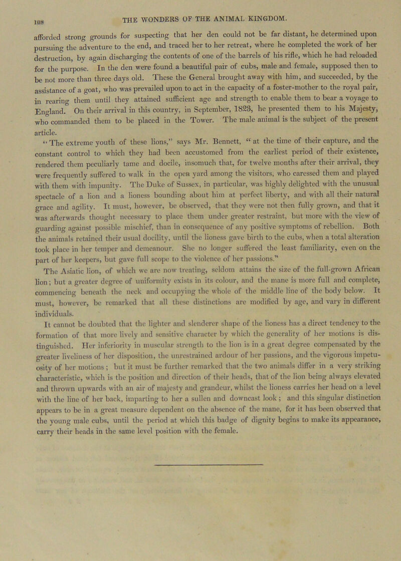 IU8 afforded strong grounds for suspecting that her den could not be far distant, he determined upon pursuing the adventure to the end, and traced her to her retreat, where he completed the work of her destruction, by again discharging the contents of one of the barrels of his rifle, which he had reloaded for the purpose. In the den were found a beautiful pair of cubs, male and female, supposed then to be not more than three days old. These the General brought away with him, and succeeded, by the assistance of a goat, who was prevailed upon to act in the capacity of a foster-mother to the royal pair, in rearin'^ them until they attained sufficient age and strength to enable them to bear a voyage to En-rland. On their arrival in this country, in September, 1823, he presented them to his Majesty, who commanded them to be placed in the Tower. The male animal is the subject of the present article. “ TTie extreme youth of these lions,” says Mr. Bennett, “ at the time of their capture, and the constant control to which they had been accustomed from the earliest period of their existence, rendered them peculiarly tame and docile, insomuch that, for twelve months after their arrival, they were frequently suffered to w’alk in the open yard among the visitors, who caressed them and played with them with impunity. The Duke of Sussex, in particular, was highly delighted with the unusual spectacle of a lion and a lioness bounding about him at perfect liberty, and with all their natural grace and agility. It must, however, be observed, that they were not then fully grown, and that it was afterwards thought necessai-y to place them under greater restraint, but more with the vdew of guarding against possible mischief, than in consequence of any positive symptoms of rebellion. Both the animals retained their usual docility, until the lioness gave birth to the cubs, when a total alteration took place in her temper and demeanour. She no longer suffered the least familiarity, even on the part of her keepers, but gave full scope to the violence of her passions.” The Asiatic lion, of which we are now treating, seldom attains the size of the full-grown African lion; but a greater degree of uniformity exists in its colour, and the mane is more full and complete, commencing beneath the neck and occupying the whole of the middle line of the body below. It must, however, be remarked that all these distinctions are modified by age, and vary in different individuals. It cannot be doubted that the lighter and slenderer shape of the lioness has a direct tendency to the formation of that more lively and sensitive character by which the generality of her motions is dis- tinguished. Her inferiority in muscular strength to the lion is in a great degree compensated by the greater liveliness of her disposition, the unrestrained ardour of her passions, and the vigorous impetu- osity of her motions ; but it must be further remarked that the two animals differ in a very striking characteristic, which is the position and direction of their heads, that of the lion being always elevated and thrown upwards with an air of majesty and grandeur, whilst the lioness carries her head on a level with the line of her back, imparting to her a sullen and downcast look ; and this singular distinction appears to be in a great measure dependent on the absence of the mane, for it has been observed that the young male cubs, until the period at which this badge of dignity begins to make its appearance, carry their heads in the same level position with the female.