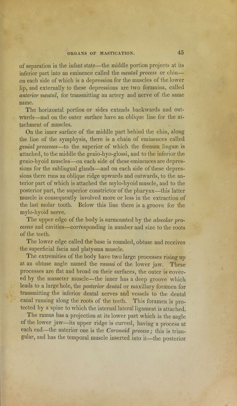 of separation in the infant stale—the middle portion projects at its inferior part into an eminence called the mental jn-occss or chin— on each side of which is a depression for the muscles of the lower lip, and externally to these depressions are two foramina, called anterior mental, for transmitting an artery and nerve of the same name. The horizontal portion or sides extends backwards and out- wards—and on the outer surface have an oblique line for the at- tachment of muscles. On the inner surface of the middle part behind the chin, along the line of the symphysis, there is a chain of eminences called genial processes—to the superior of which the frenum linguae is attached, to the middle the genio-hyo-glossi, and to the inferior the genio-hyoid muscles—on each side of these eminences are depres- sions for the sublingual glands—and on each side of these depres- sions there runs an oblique ridge upwards and outwards, to the an- terior part of which is attached the mylo-hyoid muscle, and to the posterior part, the superior constrictor of the pharynx—this latter muscle is consequently involved more or less in the extraction of the last molar tooth. Below this line there is a groove for the mylo-hyoid nerve. The upper edge of the body is surmounted by the alveolar pro- cesses and cavities—corresponding in number and size to the roots of the teeth. The lower edge called the base is rounded, obtuse and receives the superficial facia and platysma muscle. The extremities of the body have two large processes rising up at an obtuse angle named the ramui of the lower jaw. These processes are flat and broad on their surfaces, the outer is cover- ed by the masseter muscle—the inner has a deep groove which leads to a large hole, the posterior dental or maxillary foramen for transmitting the inferior dental nerves and vessels to the dental canal running along the roots of the teeth. This foramen is pro- tected by a spine to which the internal lateral ligament is attached. The ramus has a projection at its lower part which is the angle of the lower jaw—its upper ridge is curved, having a process at each end—the anterior one is the Coronoid process; this is trian- gular, and has the temporal muscle inserted into it—the posterior