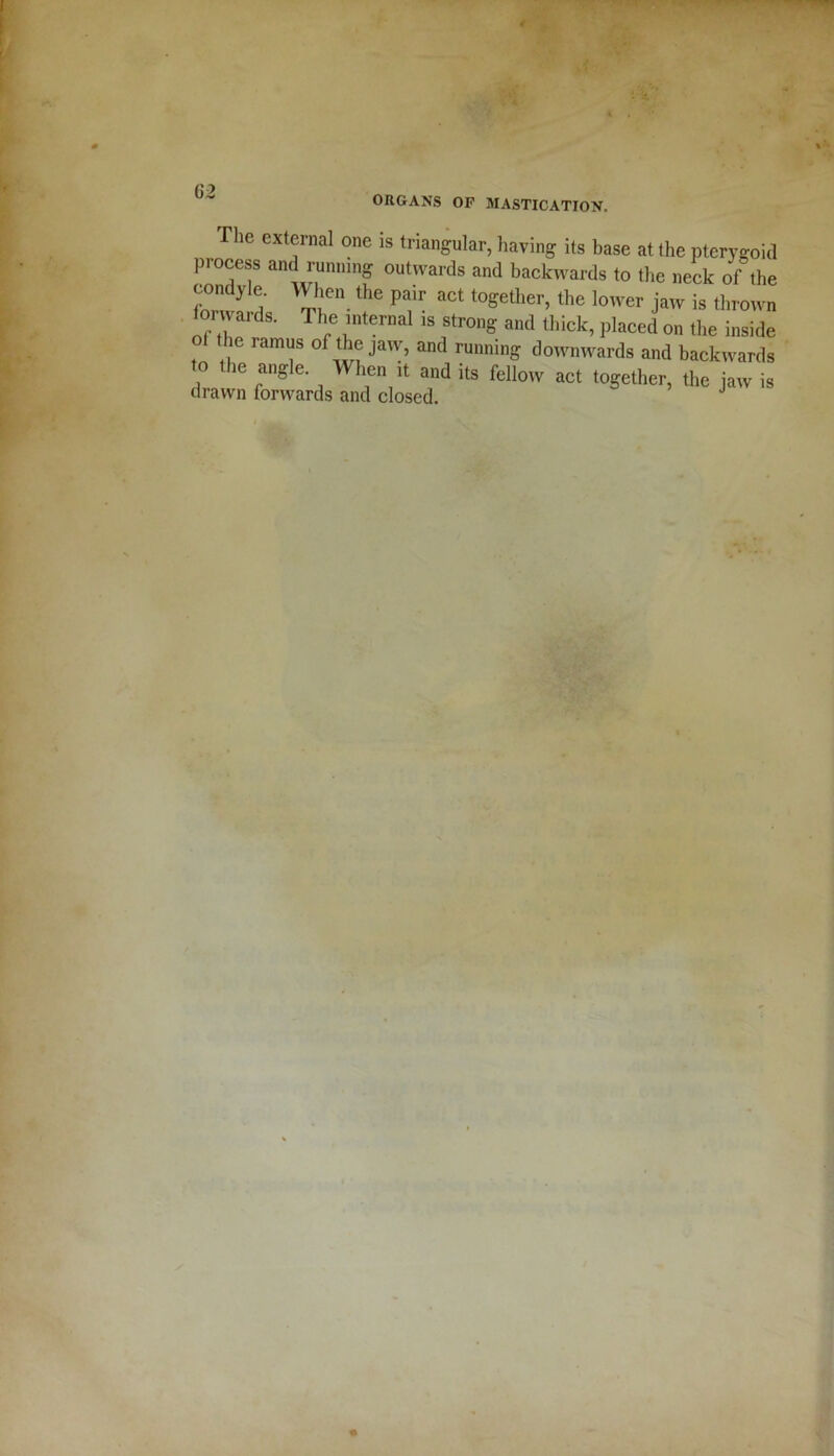 ORGANS OF MASTICATION. The external one is triangular, haring its base at the pterygoid process and running outwards and backwards to the neck of the condyle. When the pair act together, the lower jaw is thrown forwards. The internal is strong and thick, placed on the inside ol the ramus of the jaw, and running downwards and backwards to the angle. When it and its fellow act together, the jaw is drawn forwards and closed.