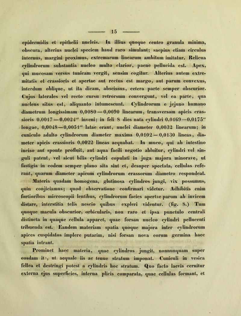 epidermidis et epithelii nucleis. In illius quoque centro granula minima, obscura, alterius nuclei speciem haud raro simulant; saepius etiam circulus internus, margini proximus, extremarum linearum ambitum imitatur. Relicua cjlindrorum substantia nucleo multo clarior, paene pellucida est. Apex, qui mucosam versus tunicam vergit, sensim cogitur. Alterius autem extre- mitatis et crassioris et apertae aut rectus est margo, aut parum convexus, interdum oblique, ut ita dicam, abscissus, cetera parte semper obscurior. Cujus laterales vel recto cursu retrorsum convergunt, vel ea parte, qua nucleus situs est, aliquanto intumescunt. Cjlindrorum e jejuno humano diametrum longissimam 0,0080 — 0,0090 linearum, transversam apicis cras- sioris 0,0017 — 0,0024' inveni; in feli 8 dies nata cjlindri 0,0169—0,0175' longae, 0,0048 — 0,0051' latae erant, nuclei diameter 0,0032 linearum; in cuniculo adulto cjlindrorum diameter maxima 0,0102 — 0,0130 lineas, dia- meter apicis crassioris 0,0022 lineas aequabat. In muco, qui ab intestino inciso aut sponte profluit, aut aqua facili negotio abluitur, cjlindri vel sin- guli patent, vel sicut bilis cjlindri copulati in juga majora minorave, ut fastigia in eodem semper plano sita sint et, desuper spectata, cellulas refe- rant, quarum diameter apicum cjlindrorum crassorum diametro respondeat. Materia quadam homogena, glutinosa cjlindros jungi, vix possumus, quin conjiciamus; quod observatione confirmari videtur. Adhibitis enim fortioribus microscopii lentibus, cjlindrorum facies apertae parum ab invicem distare, interstitia telis nescio quibus expleri videntur, (fig. 8.) Tum quoque macula obscurior, orbicularis, nou raro et ipsa punctulo centrali distincta in quaque cellula apparet, quae forsan nucleo cjlindri pellucenti tribuenda est. Eandem materiam spatia quoque majora inter cjlindrorum apices cuspidatos implere putarim, nisi forsan nova eorum germina haec spatia intrant. Prominet haec materia, quae cjlindros jungit, nonnunquam super eosdam iti, ut aequale iis ac tenue stratum imponat. Cuniculi in vesica fellea et destringi potest a cjlindris hoc stratum. Q,uo facto laevis cernitur externa ejus superficies, interna plicis comparata, quae cellulas formant, et