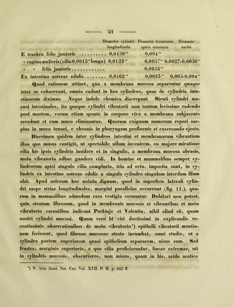 Diameter transversa Diameter apicis crassioris nuclei 0,004''' 0,0037' 0,0027-0,0036' 0,0035' 0,0025' 0,003-0,004' Diameter cylindi longitudinalis E trachea felis junioris 0,0130' » vaginamulieris(cilia0,0015'Iong'a) 0,0125' » » felis junioris Ex intestino ostreae edulis 0,0102' Quod rationem attinet, qua a memhrana mucosa separentur quaque inter se cohaereant, omnia cadunt in hos cjlindros, quae de cjlindris inte- stinorum diximus. JVeque indole chemica discrepant. Sicuti cjlindri mu- cosi intestinales, ita quoque cjlindri vibratorii non tantum levissime radendo post mortem, verum etiam sponte in corpore vivo a membrana subjacente secedunt et cum muco eliminantur. Quorum exiguum numerum reperi sae- pius in muco tenaci, e choanis in pharjngem profluente et exscreando ejecto. Discrimen quidem inter cjlindros intestini et membranarum vibrantium illos quo minus contigit, ut spectabile ullum invenirem, eo majore miratione cilia his ipsis cjlindris insidere et in singulis, a membrana mucosa abrasis, motu vibratorio adhuc gaudere vidi. In homine et mammalibns semper cj- lindrorum apici singulo cilia compluria, tria ad octo, imposita sunt, in cj- lindris ex intestino ostreae edulis a singulo cjlindro singulum interdum filum abit. Apud ostream hoc notatu dignum, quod in superficie laterali cjlin- dri saepe striae longitudinales, margini parallelae occurrunt (fig. 11.), qua- rum in mammalibus admodum rara vestigia cernuntur. Dubitari non potest, quin stratum fibrosum, quod in membranis mucosis et vibrantibus et motu vibratorio carentibus indicant Purkinje et Valentin, nihil aliud sit, quam nostri cjlindri mucosi. Quum vero hi viri doctissimi in explicandis re- centissimis observationibus de motu vibratorio*) epithelii vibratorii mentio- nem fecissent, quod fibroso mucosae strato incumbat, omni studio, ut a cjlindro partem superiorem quasi epithelium separarem, nisus sum. Sed frustra; marginis superioris, e quo cilia proficiscuntur, lineae extremae, uti in cjlindris mucosis, obscuriores, non minus, quam in his, acido acetico *) N. Acta Acad. Nat. Cur. Vol. XVH. P. E. p. 845 ff.