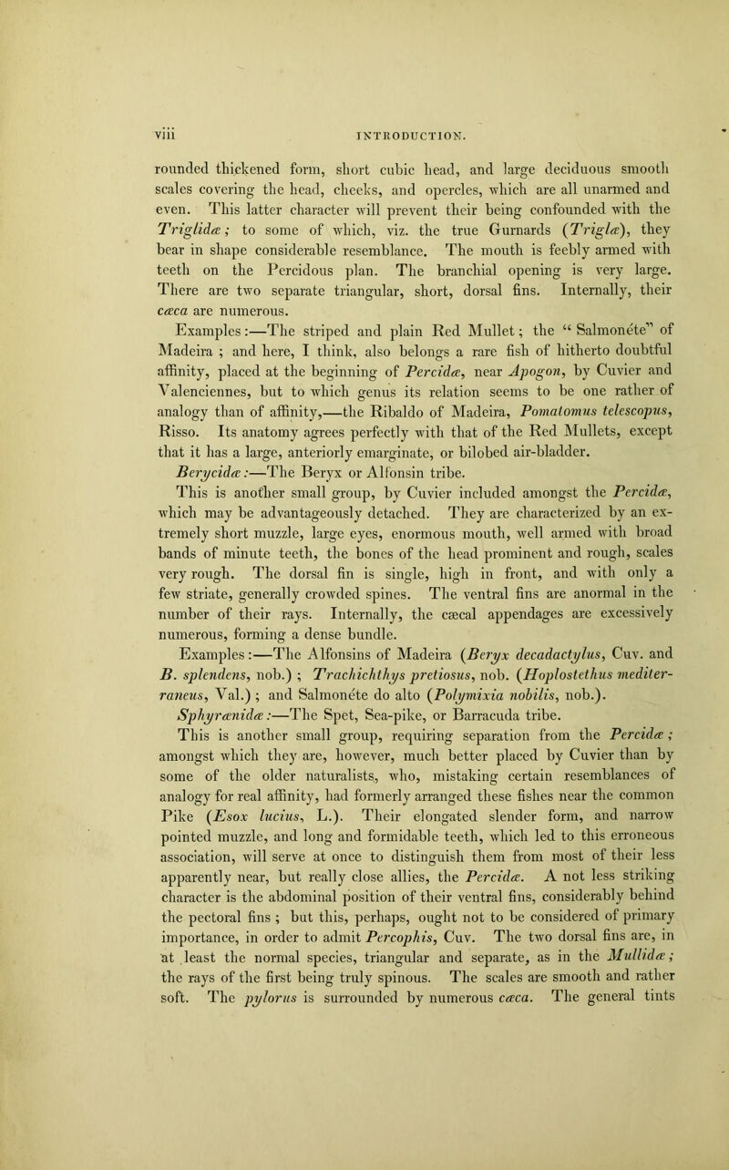 rounded thickened form, short cubic head, and large deciduous smootli scales covering the head, cheeks, and opercles, which are all unarmed and even. This latter character will prevent their being confounded with the Triglidce; to some of which, viz. the true Gurnards {Triglee), they bear in shape considerable resemblance. The mouth is feebly armed with teeth on the Percidous plan. The branchial opening is very large. There are two separate triangular, short, dorsal fins. Internally, their ceeca are numerous. Examples:—The striped and plain Red Mullet; the “ Salmonete” of Madeira ; and here, I think, also belongs a rare fish of hitherto doubtful affinity, placed at the beginning of Percida, near Apogon, by Cuvier and Valenciennes, but to which genus its relation seems to be one rather of analogy than of affinity,—the Ribaldo of Madeira, Pomatomus telescopus, Risso. Its anatomy agrees perfectly with that of the Red Mullets, except that it has a large, anteriorly emarginate, or bilobed air-bladder. Berycida:—The Beryx or Alfonsin tribe. This is another small group, by Cuvier included amongst the Percida, which may be advantageously detached. They are characterized by an ex- tremely short muzzle, large eyes, enormous mouth, well armed with broad bands of minute teeth, the bones of the head prominent and rough, scales very rough. The dorsal fin is single, high in front, and with only a few striate, generally crowded spines. The ventral fins are anormal in the number of their rays. Internally, the csecal appendages are excessively numerous, forming a dense bundle. Examples:—The Alfonsins of Madeira (Be7yx decadactylus, Cuv. and B. splendens, nob.) ; Trachichthys pretiosus, nob. {Hoplostethus mediter- raneus, Val.) ; and Salmonete do alto (Polymixia nobilis, nob.). Sphyreenida:—The Spet, Sea-pike, or Barracuda tribe. This is another small group, requiring separation from the Percida; amongst which they are, however, much better placed by Cuvier than by some of the older naturalists, who, mistaking certain resemblances of analogy for real affinity, had formerly arranged these fishes near the common Pike (Esox luciuSf L.). Their elongated slender form, and narrow pointed muzzle, and long and formidable teeth, which led to this erroneous association, will serve at once to distinguish them from most of their less apparently near, but really close allies, the Percida. A not less striking character is the abdominal position of their ventral fins, considerably behind the pectoral fins ; but this, perhaps, ought not to be considered of primary importance, in order to admit Percophis, Cuv. The two dorsal fins are, in at least the normal species, triangular and separate, as in the Mulhda; the rays of the first being truly spinous. The scales are smooth and rather soft. The pylorus is surrounded by numerous caca. The general tints
