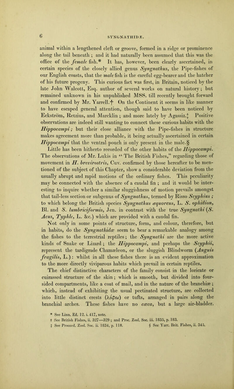 animal witliin a lengthened cleft or groove, formed in a ridge or prominence along the tail beneath ; and it had naturally been assumed that this was the office of the female fish.* It has, however, been clearly ascertained, in certain species of the closely allied genus Syngnathus, the Pipe-fishes of our English coasts, that the male fish is the careful egg-bearer and the hatcher of his future progeny. This curious fact was first, in Britain, noticed by the late John Walcott, Esq. author of several worhs on natural history; but remained unknown in his unpublished MSS. till recently brought forward and confirmed by Mr. Yarrell.'f* On the Continent it seems in like manner to have escaped general attention, though said to have been noticed by Eckstrbm, Retzius, and Marcklin ; and more lately by Agassiz.j Positive observations are indeed still wanting to connect these curious habits with the Hippocampi; but their close alliance with the Pipe-fishes in structure makes agreement more than probable, it being actually ascertained in certain Hippocampi that the ventral pouch is only present in the male.§ Little has been hitherto recorded of the other habits of the Hippocampi. The observations of Mr. Lukis in “ The British Fishes,” regarding those of movement in H. brevirostris, Cuv. confirmed by those hereafter to be men- tioned of the subject of this Chapter, show a considerable deviation from the usually abrupt and rapid motions of the ordinary fishes. This peculiarity may be connected with the absence of a caudal fin ; and it would be inter- esting to inquire whether a similar sluggishness of motion prevails amongst that tail-less section or subgenus of Syngnathus, termed by Risso Scyphius ; to which belong the British species Syngnathus aquoreus, L. S. ophidion, Bl. and S. lumbriciformis, Jen. in contrast with the true Syngnathi [S. Acus, Typhle, L. &c.) which are provided with a caudal fin. Not only in some points of structure, form, and colour, therefore, but in habits, do the Syngnathidce seem to bear a remarkable analogy among the fishes to the terrestrial reptiles; the Syngnathi are the more active kinds of Snake or Lizard ; the Hippocampi, and perhaps the Scyphii, represent the tardigrade Chamaeleon, or the sluggish Blindworm (Anguis fragilis, L.) : whilst in all these fishes there is an evident approximation to the more directly viviparous habits which prevail in certain reptiles. The chief distinctive characters of the family consist in the loricate or cuirassed structure of the skin; Avhich is smooth, but divided into four- sided compartments, like a coat of mail, and in the nature of the branchiae; which, instead of exhibiting the usual pectinated structure, are collected into little distinct crests {X6(poi) or tufts, arranged in pairs along the branchial arches. These fishes have no cceca, but a large air-bladder. * See Linn. Ed. 12. i. 417, note. t See British Fishes, ii. 327—329 ; and Proc. Zool. Soc. iii. 1835, p. 183. 1 See Proceed. Zool. Soc. ii. 1834, p. 118. § See Yarr. Brit. Fishes, ii. 345.