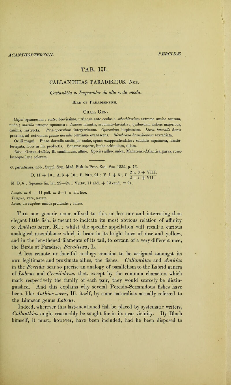 ACANTHOPTERYGII. PERCIBJE TAB. HI. CALLANTHIAS PARADISAIUS, Nob. Castanheta s. Imperadoi- do alto s. da moda. Bird op Paradise-pish. Char. Gen. Caput squamosum ; rostra brevissimo, utrinque ante oculos s. suhorhitarmm extreme antico tantum, nudo ; maxilla utraque squamosa ; dentibus minutis, scobinato-fasciatis ; quibusdam anticis majoribus, caninis, instmcta. PrcB-operadum integerrimum. Operculum bispinosum. Linea lateralis dorso proxima, ad extremum ptinruE dorsalis continuae evanescens. Membrana brancliiostega sexradiata. Oculi magni. Pinna dorsalis analisque nud®, spinis exappendiculatis : caudalis squamosa, lunato- forcipata, lobis in fila productis. Squamae asperae, limbo echinulato, ciliato. Obs.—Genus Anthim, Bl. simillimum, affine. Species adbuc unica, Maderensi-Atlantica, parva, roseo luteoque laete colorata. C. paradisasus, nob., Suppl. Syn. Mad. Fish in Proc. Zool. Soc. 1839, p. 76. D. 11 + 10 ; A. 3 + 10 ; P. 20 V. 21 ; V. 1 + S ; C. ^^4 M. B.^6 ; Squamae lin. lat. 22—24 ; Vertae. 11 abd. + 13 caud. = 24. Longit. =6 — 11 poll. = 5—7 X alt. fere. Tempus, vere, aestate. Locus, in rupibus minus profundis ; rariss. The new generic name afBxed to this no less rare and interesting than elegant little fish, is meant to indicate its most obvious relation of affinity to Anthias sacer, Bl.; whilst the specific appellation will recall a curious analogical resemblance which it bears in its bright hues of rose and yellow, and in the lengthened'filaments of its tail, to certain of a very different race, the Birds of Paradise, Paradisaa, L. A less remote or fanciful analogy remains to be assigned amongst its own legitimate and proximate allies, the fishes. Callanthias and Anthias in the Percidae bear so precise an analogy of parallelism to the Labrid genera of Labrus and Crenilabrus, that, except by the common characters which mark respectively the family of each pair, they would scarcely be distin- guished. And this explains why several Percido-Serranidous fishes have been, like Anthias sacer, Bl. itself, by some naturalists actually referred to the Linneean genus Labrus. Indeed, wherever this last-mentioned fish be placed by systematic writers, Callanthias might reasonably be sought for in its near vicinity. By Bloch himself, it must, however, have been included, had he been disposed to