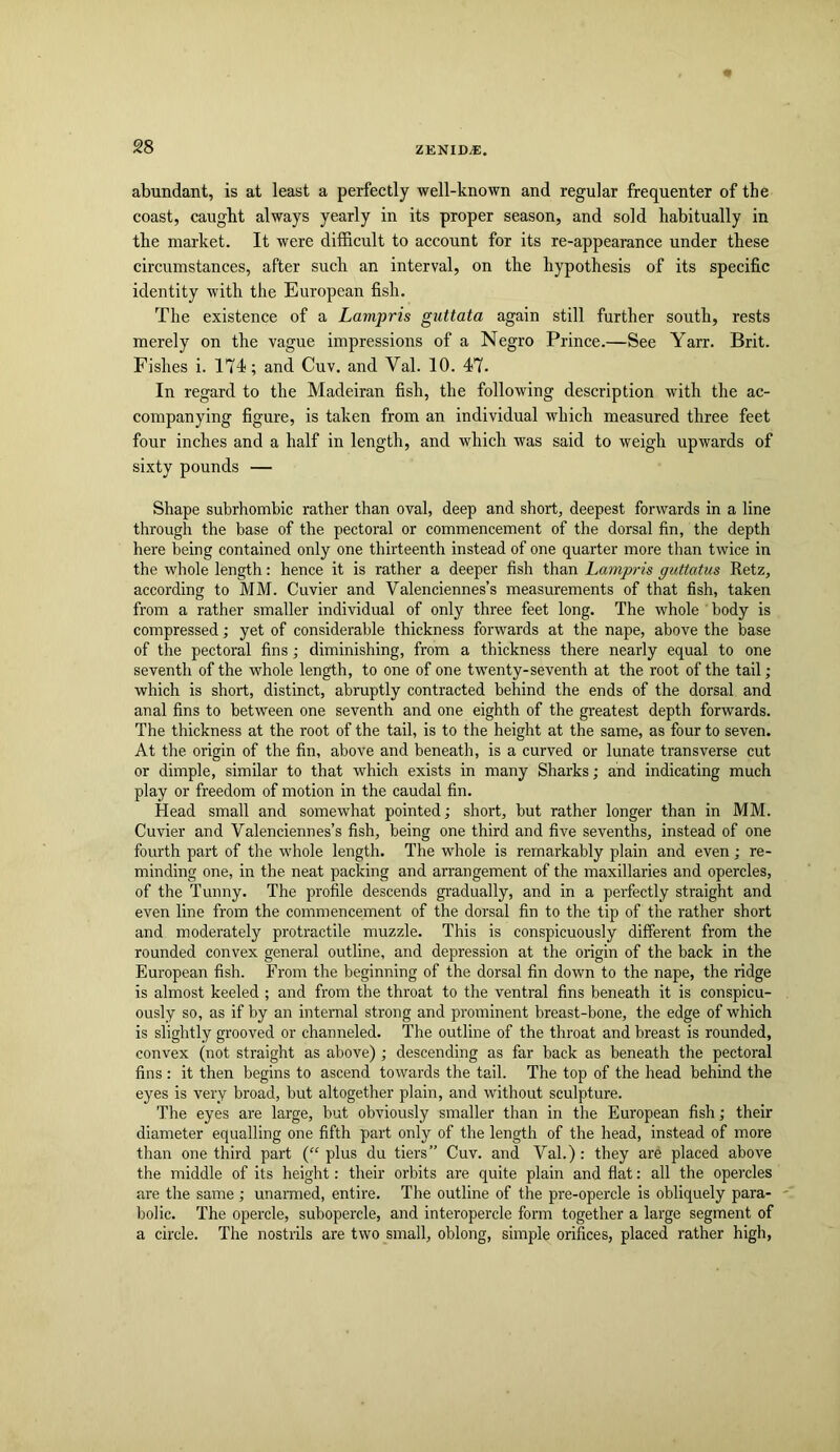abundant, is at least a perfectly well-known and regular frequenter of the coast, caught always yearly in its proper season, and sold habitually in the market. It were difficult to account for its re-appearance under these circumstances, after such an interval, on the hypothesis of its specific identity with the European fish. The existence of a Lampris guttata again still further south, rests merely on the vague impressions of a Negro Prince.—See Yarr. Brit. Fishes i. 174; and Cuv. and Val. 10. 47. In regard to the Madeiran fish, the following description with the ac- companying figure, is taken from an individual which measured three feet four inches and a half in length, and which was said to weigh upwards of sixty pounds — Shape subrhombic rather than oval, deep and short, deepest forwards in a line through the base of the pectoral or commencement of the dorsal fin, the depth here being contained only one thirteenth instead of one quarter more than twice in the whole length: hence it is rather a deeper fish than Lampris guttatus Retz, according to MM. Cuvier and Valenciennes’s measurements of that fish, taken from a rather smaller individual of only three feet long. The whole body is compressed; yet of considerable thickness forwards at the nape, above the base of the pectoral fins; diminishing, from a thickness there nearly equal to one seventh of the whole length, to one of one twenty-seventh at the root of the tail; which is short, distinct, abruptly contracted behind the ends of the dorsal and anal fins to between one seventh and one eighth of the greatest depth forwards. The thickness at the root of the tail, is to the height at the same, as four to seven. At the origin of the fin, above and beneath, is a curved or lunate transverse cut or dimple, similar to that which exists in many Sharks; and indicating much play or freedom of motion in the caudal fin. Head small and somewhat pointed; short, but rather longer than in MM. Cuvier and Valenciennes’s fish, being one third and five sevenths, instead of one fourth part of the whole length. The whole is remarkably plain and even; re- minding one, in the neat packing and arrangement of the maxillaries and opercles, of the Tunny. The profile descends gi'adually, and in a perfectly straight and even line from the commencement of the dorsal fin to the tip of the rather short and moderately protractile muzzle. This is conspicuously different from the rounded convex general outline, and depression at the origin of the back in the European fish. From the beginning of the dorsal fin down to the nape, the ridge is almost keeled ; and from the throat to the ventral fins beneath it is conspicu- ously so, as if by an internal strong and prominent breast-bone, the edge of which is slightly grooved or channeled. The outline of the throat and breast is rounded, convex (not straight as above); descending as far back as beneath the pectoral fins : it then begins to ascend towards the tail. The top of the head behind the eyes is very broad, but altogether plain, and without sculpture. The eyes are large, but obviously smaller than in the European fish; their diameter equalling one fifth part only of the length of the head, instead of more than one third part (“ plus du tiers” Cuv. and Val.): they are placed above the middle of its height: their orbits are quite plain and flat: all the opercles are the same ; unarmed, entire. The outline of the pre-opercle is obliquely para- bolic. The opercle, subopercle, and interopercle form together a large segment of a circle. The nostrils are two small, oblong, simple orifices, placed rather high.