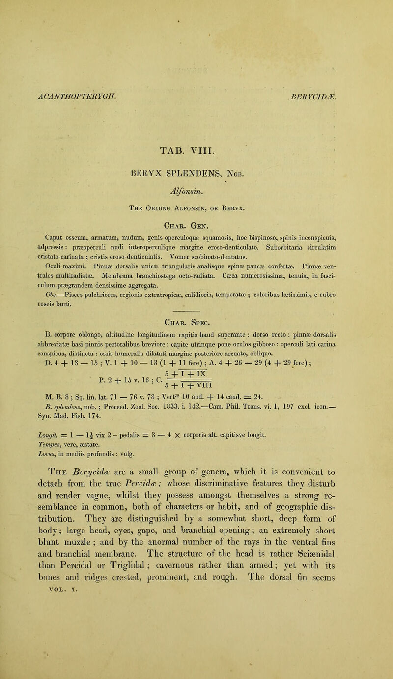 TAB. VIII. BERYX SPLENDENS, Nob. Alfonsin. The Oblong Alfonsin, or Beryx. Char. Gen. Caput osseum, armatum, nudum, genis operculoque squamosis, hoc hispinoso, spinis inconspicuis, adpressis: prmoperculi nudi interoperculique margine eroso-denticulato. Suhorbitaria circulatim cristato-carinata ; cristis eroso-denticulatis. Vomer scobinato-dentatus. Oculi maximi. Pinnae dorsalis unicae triangularis analisque spin® pane® confert®. Finn® ven- trales multiradiat®. Membrana branchiostega octo-radiata. C®ca numerosissima, tenuia, in fasci- culum pr®grandem densissime aggregata. Obs.—Pisces pulchriores, regionis extratropic®, calidioris, temperat® ; coloribus l®tissimis, e rubro roseis lauti. Char. Spec. B. corpore oblongo, altitudine longitudinem capitis baud superante; dorso recto ; pinn® dorsalis abbreviat® basi pinnis pectoralibus breviore : capite utrinque pone oculos gibboso: operculi lati carina conspicua, distincta : ossis humeralis dilatati margine posteriore arcuato, oblique. D. 4 + 13 — 15 ; V. 1 + 10 — 13 (1 + 11 fere) ; A. 4 + 26 — 29 (4 + 29 fere) ; P. 2 + 15 V. 16 ; C. 5 + I + IX 5 + I + VIII M. B. 8 ; Sq. liii. lat. 71 — 76 v. 78 ; Vert® 10 abd. + 14 caud. = 24. B. splendens, nob. ; Proceed. Zool. Soc. 1833. i. 142.—Cam. Phil. Trans, vi. 1, 197 excl. icon.— Syn. Mad. Fish. 174. Longil. = 1 — 1^ vix 2 - pedalis = 3 — 4 X corporis alt. capitisve longit. Tempus, vere, ®state. Locus, in mediis profundis : vulg. The Btrycida: are a small group of genera, which it is convenient to detach from the true Percida;; whose discriminative features they disturb and render vague, whilst they possess amongst themselves a strong re- semblance in common, both of characters or habit, and of geographic dis- tribution. They are distinguished by a somewhat short, deep form of body; large head, eyes, gape, and branchial opening; an extremely short blunt muzzle ; and by the anormal number of the rays in the ventral fins and branchial membrane. The structure of the head is rather Sciaenidal than Percidal or Triglidal; cavernous rather than armed; yet with its bones and ridges crested, prominent, and rough. The dorsal fin seems