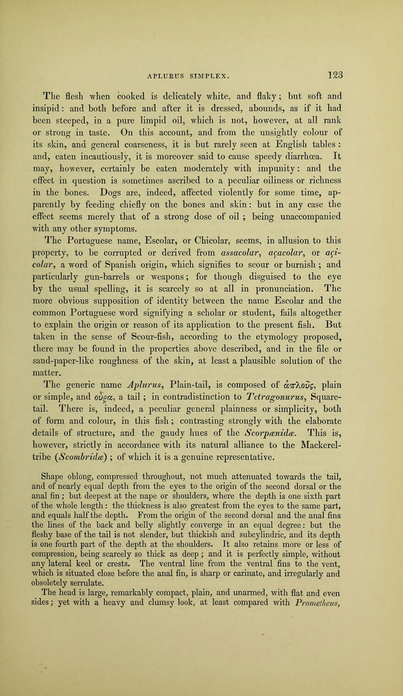 The flesh ■when cooked is delicately ■white, and flaky; but soft and insipid: and both before and after it is dressed, abounds, as if it had been steeped, in a pure limpid oil, ■which is not, however, at all rank or strong in taste. On this account, and from the unsightly colour of its skin, and general coarseness, it is but rarely seen at English tables ; and, eaten incautiously, it is moreover said to cause speedy diarrhoea. It may, ho^wever, certainly be eaten moderately with impunity: and the effect in question is sometimes ascribed to a peculiar oiliness or richness in the bones. Dogs are, indeed, affected violently for some time, ap- parently by feeding chiefly on the bones and skin: but in any case the effect seems merely that of a strong dose of oil ; being unaccompanied with any other symptoms. The Portuguese name, Escolar, or Chicolar, seems, in allusion to this property, to be corrupted or derived from assacolar, a^acolar, or aff- colar, a word of Spanish origin, which signifies to scour or burnish ; and particularly gun-barrels or weapons; for though disguised to the eye by the usual spelling, it is scarcely so at all in pronunciation. The more obvious supposition of identity between the name Escolar and the common Portuguese word signifying a scholar or student, fails altogether to explain the origin or reason of its application to the present fish. But taken in the sense of Scour-fish, according to the etymology proposed, there may be found in the properties above described, and in the file or sand-paper-like roughness of the skin, at least a plausible solution of the matter. The generic name Aplurus, Plain-tail, is composed of uTXoug, plain or simple, and ov^oc, a tail; in contradistinction to Tetragonurus, Square- tail. There is, indeed, a peculiar general plainness or simplicity, both of form and colour, in this fish; contrasting strongly with the elaborate details of structure, and the gaudy hues of the Scorpanidee. This is, however, strictly in accordance with its natural alliance to the Mackerel- tribe (Scombridte) ; of which it is a genuine representative. Shape oblong, compressed throughout, not much attenuated towards the tail, and of nearly equal depth from the eyes to the origin of the second dorsal or the anal fin; but deepest at the nape or shoulders, where the depth is one sixth part of the whole length: the thickness is also greatest from the eyes to the same part, and equals half the depth. From the origin of the second dorsal and the anal fins the lines of the back and belly slightly converge in an equal degree: but the fleshy base of the tail is not slender, but thickish and subcylindric, and its depth is one fourth part of the depth at the shoulders. It also retains more or less of compression, being scarcely so thick as deep; and it is perfectly simple, without any lateral keel or crests. The ventral line from the ventral fins to the vent, which is situated close before the anal fin, is sharp or carinate, and irregularly and obsoletely serrulate. The head is large, remarkably compact, plain, and rmarmed, with flat and even sides; yet with a heavy and clumsy look, at least compared with Promeilieus,