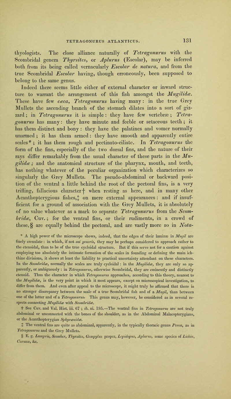 thyologists. The close alliance naturally of Telragonurus with the Scombridal genera Thyrsites, or Aplurus (Escolar), may be inferred both from its being called vernacularly Escolar de natura, and from the true Scombridal Escolar having, though erroneously, been supposed to belong to the same genus. Indeed there seems little either of external character or inward struc- ture to warrant the arrangement of this fish amongst the Mugilidae. These have few caeca, Tetragonurus having many: in the true Grey Mullets the ascending branch of the stomach dilates into a sort of giz- zard; in Tetragonurus it is simple: they have few vertebrae; Tetra- gonurus has many: they have minute and feeble or setaceous teeth; it has them distinct and bony: they have the palatines and vomer normally unarmed; it has them armed: they have smooth and apparently entire scales * * * § ; it has them rough and pectinato-ciliate. In Tetragonurus the form of the fins, especially of the two dorsal fins, and the nature of their rays differ remarkably from the usual character of these parts in the Mu- gilidee; and the anatomical structure of the pharynx, mouth, and teeth, has nothing whatever of the peculiar organization which characterizes so singularly the Grey Mullets. The pseudo-abdominal or backward posi- tion of the ventral a little behind the root of the pectoral fins, is a very trifling, fallacious character when resting as here, and in many other Acanthopterygious fishes,]; on mere external appearances : and if insuf- ficient for a ground of association with the Grey Mullets, it is absolutely of no value whatever as a mark to separate Tetragonurus from the Scom- bridae. Guv.; for the ventral fins, or their rudiments, in a crowd of these, § are equally behind the pectoral, and are vastly more so in Nota- * A high power of the microscope shows, indeed, that the edges of their laminae in Mugil are finely crenulate : in which, if not sui generis, they may he perhaps considered to approach rather to the ctenoidal, than to be of the true cycloidal structure. But if this serve not for a caution against employing too absolutely the intimate formation of the scales in founding or defining the main ich- thine divisions, it shows at least the liability to practical uncertainty attendant on these characters. In the ScomhridcB, normally the scales are truly cycloidal: in the Mugilidce, they are only so ap- parently, or ambiguously : in Tetragonurus, otherwise Scombridal, they are eminently and distinctly ctenoid. Thus the character in which Tetragonurus approaches, according to this theory, nearest to the Mugilidce, is the very point in which it most appears, except on microscopical investigation, to differ from them. And even after appeal to the microscope, it might truly be affirmed that there is no stronger discrepancy between the scale of a true Scombridal fish and of a Mugil, than between one of the latter and of a Tetragonurus. This genus may, however, be considered as in several re- spects connecting Alugilidce with ScomhridcB. + See Cuv. and Val. Hist. iii. 67 ; ih. xi. 195.—The ventral fins in Tetragonurus are not truly abdominal or unconnected with the bones of the shoulder, as in the Abdominal Malacopterygians, or the Acanthopterygian Sphyrcenidm. + The ventral fins are quite as abdominal, apparently, in the typically thoracic genus Perea, as in Tetragonurus and the Grey Midlets. § E. g. Lampris, Scomber, Thyrsites, Gcmpylus proper, Lcpidop)us, Aplurus, some species of Lichia, Caraax, &c.
