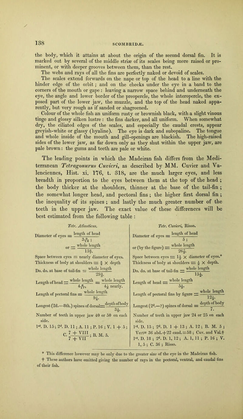 the body, which it attains at about the origin of the second dorsal fin. It is marked out by several of the middle striae of its scales being more raised or pro- minent, or with deeper grooves between them, than the rest. The webs and rays of all the fins are perfectly naked or devoid of scales. The scales extend forwards on the nape or top of the head to a line with the hinder edge of the orbit; and on the cheeks under the eye in a band to the corners of the mouth or gape : leaving a narrow space behind and underneath the eye, the angle and lower border of the preopercle, the whole interopercle, the ex- posed part of the lower jaw, the muzzle, and the top of the head naked appa- rently, but very rough as if sanded or shagreened. Colour of the whole fish an uniform rusty or brownish black, with a slight vinous tinge and glossy silken lustre : the fins darker, and all uniform. When somewhat dry, the ciliated edges of the scales, and especially the caudal crests, appear greyish-white or glassy (hyaline). The eye is dark and subopaline. The tongue and whole inside of the mouth and gill-openings are blackish. The high-raised sides of the lower jaw, as far down only as they shut within the upper jaw, are pale brown: the gums and teeth are pale or white. The leading points in which the Madeiran fish differs from the Medi- terranean Tetragonurus Cuvieri, as described by MM. Cuvier and Va- lenciennes, Hist. xi. 176, t. 318, are the much larger eyes, and less breadth in proportion to the eyes between them at the top of the head ; the body thicker at the shoulders, thinner at the base of the tail-fin ; the somewhat longer head, and pectoral fins ; the higher first dorsal fin ; the inequality of its spines ; and lastly the much greater number of the teeth in the upper jaw. The exact value of these differences will be best estimated from the following table : Tetr. Atlanticus. Diameter of eyes =: of head wliole length 15f. Space between eyes = nearly diameter of eyes. Thickness of body at shoidders = -I X depth whole length Do. do. at base of tail-fin — 295 Length of head ~ Length of pectoral fins = whole length whole length 4^’ H nearly, whole length Longest (2d.—8th.) spines of dorsal=*^ffiil^^^l^^ 3-i. Number of teeth in upper jaw 40 or 50 on each side. D'. D. 1S;2‘*. D. 11 ; A. 11 ;P. 16 ; V. 1 -f- 5; 7 -f VII Diameter of eyes =: or (by the figure) :::: Tiir. Cuvieri, Risso. length of head 5 ; whole length 26#. Space between eyes = 1-J X diameter of eyes.* Thickness of body at shoulders ^ X depth. Do. do. at base of tail-fin ~ whole length 15#. Length of head =- whole length 5^. Length of pectoral fins by figure ~ depth of body Longest (2*.—?) spines of dorsal 7. Number of teeth in upper jaw 24 or 25 on each side. D‘. D. 15 ; 2A D. 1 -f 13 ; A. 12 ; B. M. 5 ; Vert® 36 abd.-t-22 caud.=58 ; Cuv. and Val.f Rt. D. 18 ; 2A D. 1, 12 ; A. 1, 11 ; P. 16 ; V. 1, 5 ; C. 36 ; Risso. * This difference however may be only due to the greater size of the eye in the Madeiran fish. + These authors have omitted giving the number of rays in the pectoral, ventral, and caudal fins of their fish.
