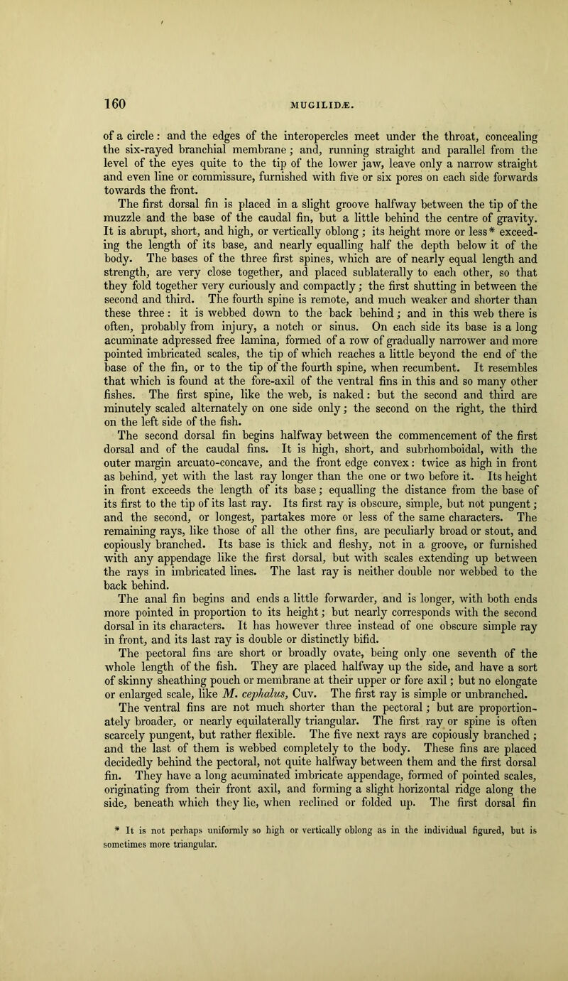of a circle: and the edges of the interopercles meet under the throat, concealing the six-rayed branchial membrane; and, running straight and parallel from the level of the eyes quite to the tip of the lower jaw, leave only a narrow straight and even line or commissure, furnished with five or six pores on each side forwards towards the front. The first dorsal fin is placed in a slight groove halfway between the tip of the muzzle and the base of the caudal fin, but a little behind the centre of gravity. It is abrupt, short, and high, or vertically oblong ; its height more or less * exceed- ing the length of its base, and nearly equalling half the depth below it of the body. The bases of the three first spines, which are of nearly equal length and strength, are very close together, and placed sublaterally to each other, so that they fold together very curiously and compactly; the first shutting in between the second and third. The fourth spine is remote, and much weaker and shorter than these three; it is webbed down to the back behind; and in this web there is often, probably from injury, a notch or sinus. On each side its base is a long acuminate adpressed free lamina, formed of a row of gradually narrower and more pointed imbricated scales, the tip of which reaches a little beyond the end of the base of the fin, or to the tip of the fourth spine, when recumbent. It resembles that which is found at the fore-axil of the ventral fins in this and so many other fishes. The first spine, like the web, is naked: but the second and third are minutely scaled alternately on one side only; the second on the right, the third on the left side of the fish. The second dorsal fin begins halfway between the commencement of the first dorsal and of the caudal fins. It is high, short, and subrhomboidal, with the outer margin arcuato-concave, and the front edge convex: twice as high in front as behind, yet with the last ray longer than the one or two before it. Its height in front exceeds the length of its base; equalling the distance from the base of its first to the tip of its last ray. Its first ray is obscure, simple, but not pungent; and the second, or longest, partakes more or less of the same characters. The remaining rays, like those of all the other fins, are peculiarly broad or stout, and copiously branched. Its base is thick and fleshy, not in a groove, or furnished with any appendage like the first dorsal, but with scales extending up between the rays in imbricated lines. The last ray is neither double nor webbed to the back behind. The anal fin begins and ends a little forwarder, and is longer, with both ends more pointed in proportion to its height; but nearly corresponds with the second dorsal in its characters. It has however three instead of one obscure simple ray in front, and its last ray is double or distinctly bifid. The pectoral fins are short or broadly ovate, being only one seventh of the whole length of the fish. They are placed halfway up the side, and have a sort of skinny sheathing pouch or membrane at their upper or fore axil; but no elongate or enlarged scale, like M. cepkalus, Cuv. The first ray is simple or unbranched. The ventral fins are not much shorter than the pectoral; but are proportion- ately broader, or nearly equilaterally triangular. The first ray or spine is often scarcely pungent, but rather flexible. The five next rays are copiously branched ; and the last of them is webbed completely to the body. These fins are placed decidedly behind the pectoral, not quite halfway between them and the first dorsal fin. They have a long acuminated imbricate appendage, formed of pointed scales, originating from their front axil, and forming a slight horizontal ridge along the side, beneath which they lie, when reclined or folded up. The first dorsal fin * It is not perhaps uniformly so high or vertically oblong as in the individual figured, but is sometimes more triangular.