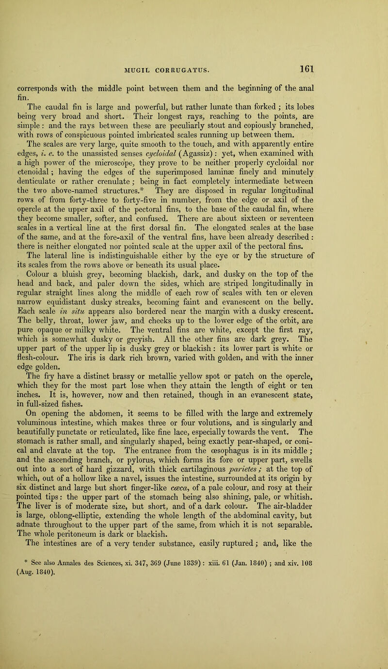 corresponds with the middle point between them and the beginning of the anal fin. The caudal fin is large and powerful^ but rather lunate than forked; its lobes being very broad and short. Their longest rays, reaching to the points, are simple : and the I’ays between these are peculiarly stout and copiously branched, with rows of conspicuous pointed imbricated scales running up between them. The scales are very large, quite smooth to the touch, and with apparently entire edges, i. e. to the unassisted senses cycloidal (Agassiz): yet, when examined with a high power of the microscope, they prove to be neither properly cycloidal nor ctenoidal; having the edges of the superimposed laminae finely and minutely denticulate or rather crenulate; being in fact completely intermediate between the two above-named structures.* They are disposed in regular longitudinal rows of from forty-three to forty-five in number, from the edge or axil of the opercle at the upper axil of the pectoral fins, to the base of the caudal fin, where they become smaller, softer, and confused. There are about sixteen or seventeen scales in a vertical line at the first dorsal fin. The elongated scales at the base of the same, and at the fore-axil of the ventral fins, have been already described : there is neither elongated nor pointed scale at the upper axil of the pectoral fins. The lateral line is indistinguishable either by the eye or by the structure of its scales from the rows above or beneath its usual place. Colour a bluish grey, becoming blackish, dark, and dusky on the top of the head and back, and paler down the sides, which are striped longitudinally in regular straight lines along the middle of each row of scales with ten or eleven narrow equidistant dusky streaks, becoming faint and evanescent on the belly. Each scale in situ appears also bordered near the margin with a dusky crescent. The belly, throat, lower jaw, and cheeks up to the lower edge of the orbit, are pure opaque or milky white. The ventral fins are white, except the first ray, which is somewhat dusky or greyish. All the other fins are dark grey. The upper part of the upper lip is dusky grey or blackish : its lower part is white or flesh-colour. The iris is dark rich brown, varied with golden, and with the inner edge golden. The fry have a distinct brassy or metallic yellow spot or patch on the opercle, which they for the most part lose when they attain the length of eight or ten inches. It is, however, now and then retained, though in an evanescent state, in full-sized fishes. On opening the abdomen, it seems to be filled with the large and extremely voluminous intestine, which makes three or four volutions, and is singularly and beautifully punctate or reticulated, like fine lace, especially towards the vent. The stomach is rather small, and singularly shaped, being exactly pear-shaped, or coni- cal and clavate at the top. The entrance from the oesophagus is in its middle; and the ascending branch, or pylorus, which forms its fore or upper part, swells out into a sort of hard gizzard, with thick cartilaginous parietes; at the top of which, out of a hollow like a navel, issues the intestine, surrounded at its origin by six distinct and large but short finger-like cccca, of a pale colour, and rosy at their pointed tips: the upper part of the stomach being also shining, pale, or whitish. The liver is of moderate size, but short, and of a dark colour. The air-bladder is large, oblong-elliptic, extending the whole length of the abdominal cavity, but adnate throughout to the upper part of the same, from which it is not separable. The whole peritoneum is dark or blackish. The intestines are of a very tender substance, easily ruptured; and, like the * See also Annales des Sciences, xi. 347, 369 (June 1839) : xiii. 61 (Jan. 1840) ; and xiv. 108 (Aug. 1840).
