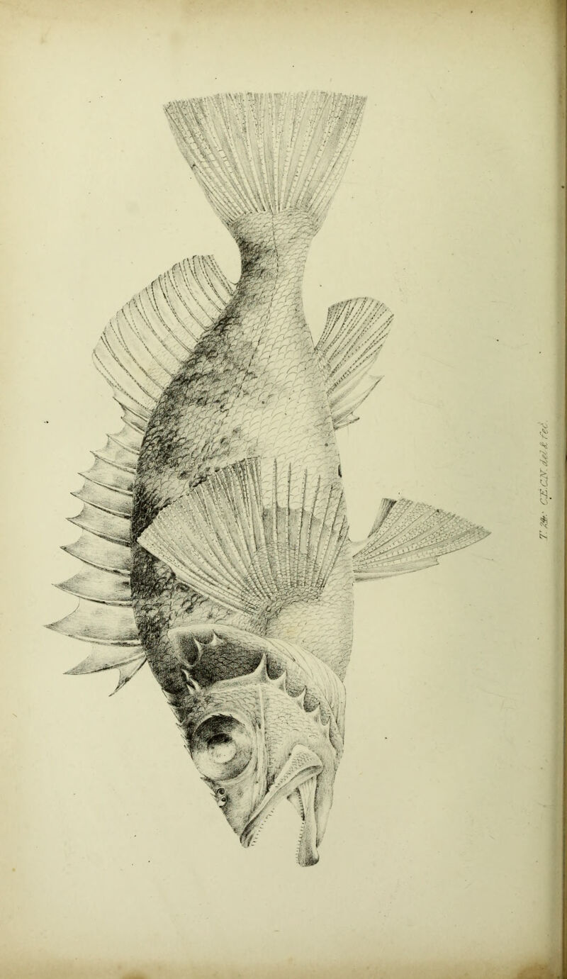 7: xnr. • ct:. air. d€i d fee.