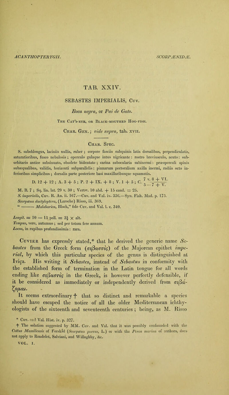 TAB. XXIV. SEBASTES IMPERIALIS, Cuv. Boca negra, or Pai de Gato. The CatVeye, or Black-mouthed Hog-fish. Char. Gen. ; vide supra, tab. xvii. Char. Spec. S. suboblongus, laciniis nullis, raber ; corpore fasciis subquinis latis dorsaUbus, perpendiculatis, saturatioribus, fusco nebulosis ; operculo gulaque intus nigricante : rostro breviusculo, acuto: sub- orbitario antice subsinuato, obsolete bidentato ; carina subocularia subinermi: praeoperculi spinis subsequabbus, validis, horizonti subparallelis: pinnanun pectoraUum axilla inermi, radiis octo in- ferioribus simplicibus ; dorsalis parte posteriore basi maxillaribusque squamatis. 7 V. 8 -1- VI. D. 12 -f 12 ; A. 3 + 5 ; P. 2 -f IX. + 8 ; V. 1 -h 5 ; C. ' 5 — 7 -f- V. M. B. 7 ; Sq. lin. lat. 29 v. 30 ; Vertae. 10 abd. 15 caud. = 25. S. imperialis, Cuv. R. An. ii. 167.—Cuv. and Val. iv. 336.—Syn. Fish. Mad. p. 175. ScorpiBna dactyloptera, (Laroche) Risso, iii. 369. “ Malabarka, Bloch,” fide Cuv. and Val. 1. c. 340. Longit =10 — 15 poU. = 3j X alt. Tempus, vere, autumno ; sed per totum fere annum. Locus, in rupibus profundissimis : rara. Cuvier has expressly stated,* that he derived the generic name Se- bastes from the Greek form (crsjSaffroV) of the Majorcan epithet impe- rial, by which this particular species of the genus is distinguished at Ivi^a. His writing it Sebastes, instead of Sebastus in conformity with the established form of tennination in the Latin tongue for all words ending like az^aarog in the Greek, is however perfectly defensible, if it be considered as immediately or independently derived from <rjj3«- It seems extraordinary that so distinct and remarkable a species should have escaped the notice of all the older Mediterranean ichthy- ologists of the sixteenth and seventeenth centuries ; being, as M. Risso * Cuv. .-ind Val. Hist. iv. p. 327. The solution suggested by MM. Cuv. and Val. that it was possibly confounded with the Cottus Massiliensis of Forskal {Scorpam porciis, L.) or with the Perea marina of authors, docs not apply to Rondelet, Salviani, and Willughby, &c. VOL. I.