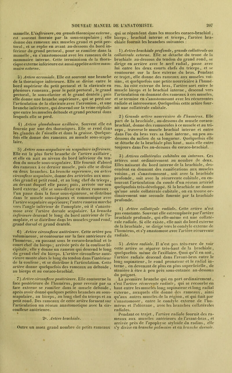 iTiamelle. Vinférieure, ou grande thoracique externe , est souvent fournie par la sous-scapulaire ; elle donne des rameaux aux muscles grand et petit pec- toral , et se replie en avant au-dessous du bord in- férieur du grand pectoral, pour se raraitier dans la mamelle , en s’anastomosant avec les rameaux de la mammaire interne. Cette terminaison de la thora- cique externe inférieure est aussi appelée artère 'mam- maire externe. 3) Artère acromiale. Elle est souvent une branche de la thoracique inférieure. Elle se divise entre le bord supérieur du petit pectoral et la clavicule en plusieurs rameaux, pour le petit pectoral, le grand pectoral, le sous-clavier et le grand dentelé ; puis elle donne une branche supérieure, qui se perd sur l’articulation de la clavicule avec l’acromion , et une branche inférieure, qui descend sur la veine céphali- que entre les muscles deltoïde et grand pectoral dans lesquels elle se perd. 4) Artère glanduleuse axillaire. Souvent elle est fournie par une des thoraciques. Elle se rend dans les glandes de l’aisselle et dans la graisse. Quelque- fois elle donne des rameaux au muscle sous-scapu- laire. 5) Artère sous-scapulaire ou scapulaire inférieure. Elle est la plus forte branche de l’artère axillaire , et elle en nait au niveau du bord inférieur du ten- don du muscle sous-scapulaire. Elle fournit d’abord des rameaux à ce dernier muscle, puis elle se divise en deux branches. La branche supérieure, ou artère circotiflexe scapulaire, donne des artérioles aux mus- cles grand et petit rond, et au long chef du triceps , au devant duquel elle passe; puis, arrivée sur son bord externe , elle se sous-divise en deux rameaux : l’un passe dans la fosse sous-épineuse, se distribue dans le muscle sous-épineux et communique avec l’artère scapulaire supérieure; l’autre rameau marche vers l’angle inférieur de l’omoplate, où il s’anasto- mose avec l’artère dorsale scapulaire. La branche inférieure descend le long du bord antérieur de l’o- moplate, et se distribue dans les muscles grand rond, grand dorsal et grand dentelé. 6) Artère circonflexe antérieure. Cette artère peu volumineuse, se contourne sur la face antérieure de l’humérus, en passant sous le coraco-brachial et le court chef du biceps ; arrivée près de la coulisse bi- cipitale, elle y donne un rameau qui descend le long du grand chef du biceps. L’artère circonflexe anté- rieure monte alors le long du tendon dans l’intérieur de la coulisse , et se distribue à l’articulation. Cette artère donne quelquefois des rameaux au deltoïde , au biceps et au coraco-brachial. 7) Artère circonflexe postérieure. Elle contourne la face postérieure de l’humérus, pour revenir par sa face externe se ramifier dans le muscle deltoïde , après avoir donné quelques petites branches au sous- scapulaire, au biceps, au long chef du triceps et au petit rond. Des rameaux de cette artère forment sur l’articulation un réseau anastomotique avec la cir- conflexe antérieure. « 2°. Artère brachiale. Outre un assez grand nombre de petits rameaux qui se répandent dans les muscles coraco-brachial , biceps , brachial interne et triceps, l’artère bra- chiale fournit les branches suivantes ; 1 ) Artère brachiale profonde, grande collatérale ou collatérale externe. Elle se détache du tronc de la brachiale au-dessous du tendon du grand rond, se dirige en arrière avec le nerf radial, passe avec lui entre les deux courts chefs du triceps, et se contourne sur la face externe du bras. Pendant ce trajet, elle donne des rameaux aux muscles voi- sins, et quelquefois une petite nourricière à l’humé- rus. Au côté externe du bras, l’artère sort entre le muscle biceps et le brachial interne , descend vers l'articulation en donnant des rameaux à ces muscles, et se termine en s’anastomosant avec les récurrentes radiale et interosseuse. Quelquefois cette artère four- nit une collatérale cubitale. 2 ) Grande artère nourricière de l'humérus. Elle part de la brachiale, au-dessous du muscle coraco- brachial, donne des ramuscules à ce muscle et au tri- ceps , traverse le muscle brachial interne et entre dans l’os du bras vers sa face interne, un peu au- dessous du milieu de .sa longueur. Quelquefois elle se détache de la brachiale plus haut, mais elle entre toujours dans l’os au-dessous du coraco-brachial. 3) Artères collatérales cubitales ou internes. Ces artères sont ordinairement au nombre de deux. Elles naissent du bord interne de la brachiale, des- cendent en donnant des ramifications aux muscles voisins, et s’anastomosent, soit avec la brachiale profonde, soit avec la récurrente cubitale, en en- tourant l’articulation du coude d’un réseau artériel quelquefois très-développé. Si la brachiale ne donne qu’une seule collatérale cubitale, on en trouve or- dinairement une seconde fournie par la brachiale profonde. 4) Artère collatérale radiale. Cette artère n’est pas constante. Souvent elle est remplacée par l’artère brachiale profonde, qui elle-même est une collaté- rale radiale. Si elle existe, elle nait du bord externe de la brachiale, se dirige vers le condyle externe de l’humérus, et s’y anastomose avec l’artère récurrente radiale. 5) Artère radiale. Il n’est pas très-rare de voir cette artère se séparer très-haut de la brachiale, quelquefois même de l’axillaire. Quoi qu’il en soit, l’artère radiale descend dans l’avant-bras entre le long supinateur, le rond pronateur et le radial in- terne , en devenant de plus en plus superficielle , de nlanière à être à peu près sous-cutanée au-dessous du poignet. La première branche qui en part ordinairement, c’est \'artère récurrente radiale, qui se recourbe en haut entre les muscles long supinateur et long radial externe, auxquels elle donne des rameaux, ainsi qu’aux autres muscles de la région , et qui finit par s’anastomoser, entre le condyle externe de l’hu- mérus et l’olécrane , avec les branches collatérales radiales. Pendant ce trajet , l’artère radiale fournit des ra- meaux aux muscles antérieurs de l’avant-bras , et arrivée près de l’apophyse styloïde du radius, elle s’y divise en branche pahnaire et en branche dorsale.