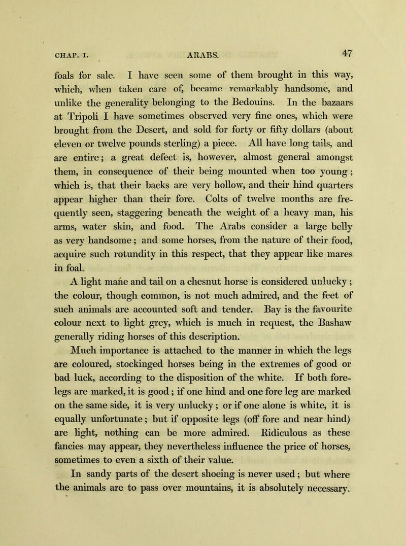 foals for sale. I have seen some of them brought in this way, which, when taken care of, became remarkably handsome, and unlike the generality belonging to the Bedouins. In the bazaars at Tripoli I have sometimes observed very fine ones, which were brought from the Desert, and sold for forty or fifty dollars (about eleven or twelve pounds sterling) a piece. All have long tails, and are entire; a great defect is, however, almost general amongst them, in consequence of their being mounted when too young; which is, that their backs are very hollow, and their hind quarters appear higher than their fore. Colts of twelve months are fre- quently seen, staggering beneath the weight of a heavy man, his arms, water skin, and food. The Arabs consider a large belly as very handsome; and some horses, from the nature of their food, acquire such rotundity in this respect, that they appear like mares in foal. A fight mane and tail on a chesnut horse is considered unlucky; the colour, though common, is not much admired, and the feet of such animals are accounted soft and tender. Bay is the favourite colour next to fight grey, which is much in request, the Bashaw generally riding horses of this description. Much importance is attached to the manner in which the legs are coloured, stockinged horses being in the extremes of good or bad luck, according to the disposition of the white. If both fore- legs are marked, it is good; if one hind and one fore leg are marked on the same side, it is very unlucky; or if one alone is white, it is equally unfortunate; but if opposite legs (off fore and near hind) are fight, nothing can be more admired. Kidiculous as these fancies may appear, they nevertheless influence the price of horses, sometimes to even a sixth of their value. In sandy parts of the desert shoeing is never used; but where the animals are to pass over mountains, it is absolutely necessary.