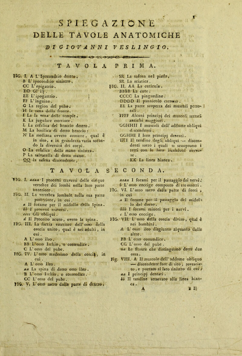 SPIEGAZIONE DELLE TAVOLE ANATOMICHE VI GIOVANNI VESLINGIO. TAVOLA P R I M A. flG. I. A L'Ipocondrio destro, B L’ipocondrio sinistro, CC L’epigatrio, DD Gl' ilj-; LE L'ipogastrio - j FF L’inguine. G La region del pube,1 H la vena della fronte. I La la vena delle tempie. K La jugulare esteriore . L La cefalica del braceio destro. M La basilica di detto braccio: N La mediana ovvero comune, qual è in sito, e in grandezra varia secon- do la diversità dei corpi. O La cefalica della màno sinistra, P La salvatella di detta mano , £)£> la safena discendente, TAVOLA S SR La safena nel piede. SR La sciatica . fIG. II. AA La cuticula . BB&B La cute. CCCC La pinguedine . DDDD II pannicolo carn»so . EE La parte scoperta dei muscoli petto- rali . FFFF Alcuni principj dei muscoli serrati- antichi maggiori . 'GGHHII I muscoli dell’addome obliqui discendenti . GGHH1 I loro principj dentati. IKI II tendine degli obliqui --- discen- denti sotto i quali si scuoprono i retti con le loro iscrizioni nervo* se . KK La linea bianca . E C 0 N D A. TIG-. I. aa’aa'I processi traversi delle cinque vertebre dei lombi nella loro parte bnteriote . FIG. II. La vertebra lombale nella sua parte posteriore, in cui. a II forame per il midollo delia Spina . bb l processi traversi . cccc Gli obliqui . A II Processo acuto, overo la spina. FIG. III. La faccia esteriore dell’osso della coscia unito ; qual è nei adulti, in cui . A L’ osso ileo . BB L’osso Ischio , 'o cossendice . C L’osso del pube. FIG. 'IV. L’ osso medesimo della cosci!} , iti cui . A L’ osso Ileo . Hit La spina di detto osso ileo . B L’osso Ischio, o cossendice. CC L’ osso del pube . II'G. V. L’osso sacro dalla parte di dentro. attua, I forami per il passaggio dei nervi.' ~b L’osso Coccige composto di treossetti. FlG. VI. L’osso sacro dalla parte di fuori „ in cui a 11 forame per il passaggio del midol- lo del dorso . bbb I forami minori per i nervi. c L’ osso coccige . FIGs VII. L’ osso della coscia diviso, tqùal c nei bambini . A L’ osso ileo disgiunto alquanto dalle altre . BB L’ osso cossendice . CG L’ osso del pube . ita Le fissare che distinguono dette due ossa. Fig. Vili. A II muscolo dell’ addome obliquo =— discendente fuor di sito , rovescia- to , e portato al lato sinistro di cui ✓ aa I principj dentati . bb II tendine attaccato alla linea bian» B I!. ca,