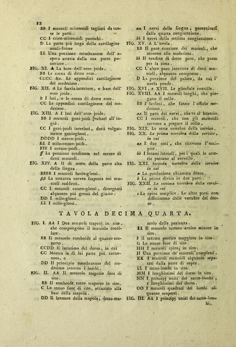 BB I muscoli aritenoidi tagliati da tut- te le parti . CC I crico-aritenoidi postichi. D La parte più larga della cartilagine anuli-forme EE Una porzione membranosa dell’ a- spera arteria dalla sua parte po- steriore . #1G. XI. A La base dell’ osso joide. BB Le corna di detto osso . CCCC &c. Le appendici cartilaginose del medesimo . MG. XII. A La faccia interiore, o base dell’ osso joide . B I lati, o le corna di detto osso. CC Le appendici cartilaginose del me- desimo . JlG. XIII. A I lati dell’ osso joide . BB I muscoli genbjoidi [voltati all’ in- giù . CC I geni-joidi interiori, detti volgar- mente genioglossi . DDDD I sterno-joidi . EE I stilorcerato-joidi. FFF I coraco-joidi. ff La porzione tendinosa nel mezzo di - detti muscoli. MG. XIV. A II di sotto, della parte alta della lingua . BBBB I muscoli hasio-glossi.. La sostanza nervea fraposta nei mu- scoli suddetti-. CC I muscoli cerato-glossi dissegnati alquanto più grossi del giusto . DD I stilo-glossi .. EE I milo-glossi. TAVOLA DEC MG. I. A A I Due muscoli trapezj. in sito,. che compongono il muscolo cocol- lare . BB II muscolo romboide al quanto sco- perto . CCDD 11 latissimo del dorso , in cui CC Mostra la di lui parte più caruo- nosa, è DD II principio membranoso del me- desimo intorno i lombi . FIG. II. A A II muscolo trapezio fuor di sito . BB II romboide tutto scoperto in sito. C Lo stesso fuor di sito, attaccato alla base della scapola . DD II lcvatore. della scapola, detto ittu- *a. I nervi della lingua \ provenienti dalla quarta congiunzione. bb I nervi della settima congiunzione ; FIG. XV. A L’uvola. BB II paro esteriore dei muscoli , che servono alla medesima . bb II tendine di detto paro, che passa per la rima . CC L’ altro paro interiore di detti mu- scoli , alquanto compresso . D La porzione del palato, da cui 1’ uvola pende. FIG. XVI, e XVII. Le glandule consille. FIG. XVIII. AA I muscoli lunghi, che pie- gano il collo. BB I Scaleni , che fanno l’officio me- desimo . aa~ll paro dei nervi, che va ai braccio. CC I muscoli, che con gii mastoidi- servono a piegare il collo. FIG. XIX. Le sette vertebre delta cervice. FIG. XX. La prima 'vertebra della cervice y in cui aa I due seni,, che ricevono 1‘ occi- pite . bb I forami laterali , per i quali, le arte- rie passano al cervello . EIG. XXI. Seconda vertebra della cervioe in cui a La. produzione chiamata dente . b La prima divisa in due parti . EIG. XXII. La settima vertebra della cervi- ce in cui c La spina semplice . Le altre parti non differiscono dalle vertebre del dor- so . IMA QUARTA. scolo della pazienza . EE II muscolo serrato antico minore io sito. F il serrato postico maggiore in sito. G Lo stesso fuor di sito. HH I muscoli splen| in sito . II Una porzione de’ muscoli complessi . KK I muscoli mastoidi alquanto sepa- rati dalla parte di sopra . LL I sacro-lombi in sito. MM I lunghissimi del dorso in sito. i3 NN I prìncipj uniti dei sacro-lombi , e lunghissimi del dorso. OO I muscoli quadrati dei lombi al- quanto scoperti. ELG, III. AA I prinoipj uniti dei sacro-lom- bi,