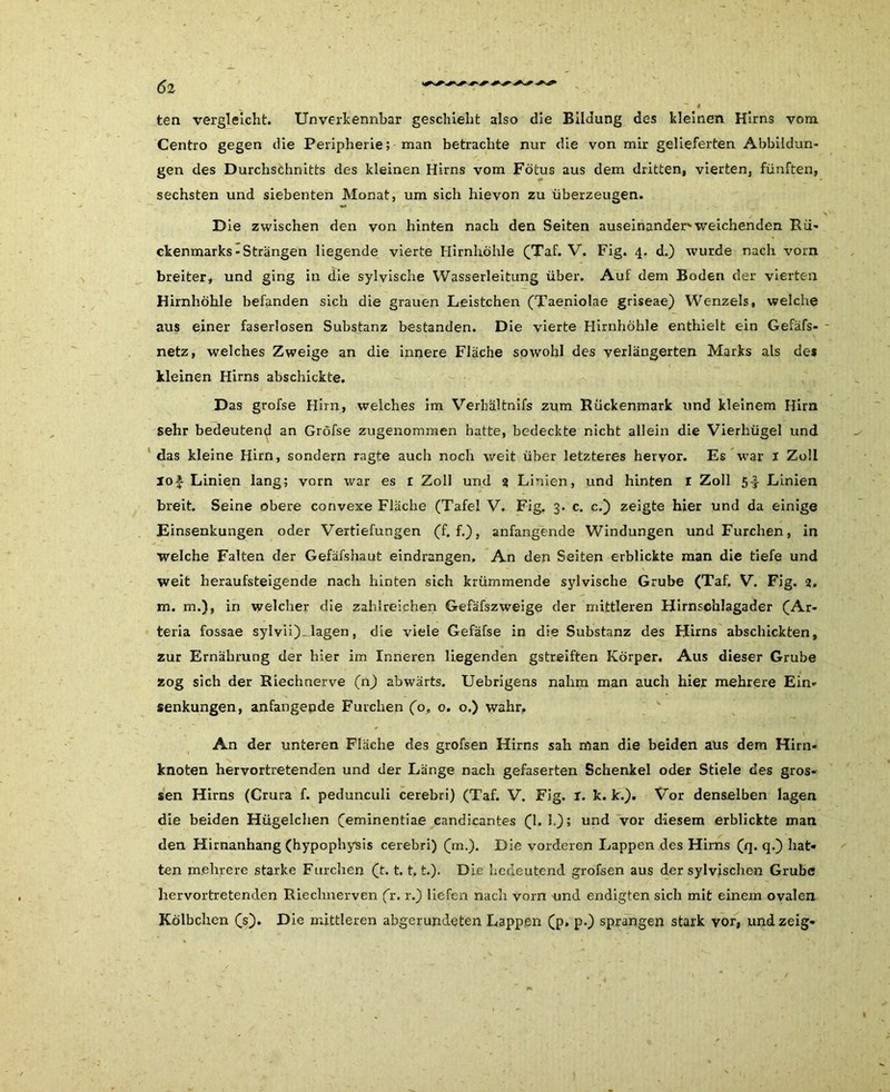 <52 ten vergleicht. Unverkennbar geschieht also die Bildung des kleinen Hirns vom Centro gegen die Peripherie; man betrachte nur die von mir gelieferten Abbildun- gen des Durchschnitts des kleinen Hirns vom Fötus aus dem dritten, vierten, fünften, sechsten und siebenten Monat, um sich hievon zu überzeugen. Die zwischen den von hinten nach den Seiten auseinander'weichenden Rü- ckenmarks-Strängen liegende vierte Hirnhöhle (Taf. V. Fig. 4. d.) wurde nach vorn breiter, und ging in die sylvische Wasserleitung über. Auf dem Boden der vierten Hirnhöhle befanden sich die grauen Leistchen (Taeniolae griseae) Wenzels, welche aus einer faserlosen Substanz bestanden. Die vierte Hirnhöhle enthielt ein Gefäfs- netz, welches Zweige an die innere Fläche sowohl des verlängerten Marks als de* kleinen Hirns abschickte. Das grofse Hirn, welches im Verhältnifs zum Rückenmark und kleinem Hirn sehr bedeutend an Grofse zugenommen hatte, bedeckte nicht allein die Vierhügel und das kleine Hirn, sondern ragte auch noch weit über letzteres hervor. Es war 1 Zoll lof Linien lang; vorn war es 1 Zoll und $ Linien, und hinten r Zoll 5-^ Linien breit. Seine obere convexe Fläche (Tafel V. Fig. 3. c. c.) zeigte hier und da einige Einsenkungen oder Vertiefungen (f. f.), anfangende Windungen und Furchen, in welche Falten der Gefäfshaut eindrangen. An den Seiten erblickte man die tiefe und weit heraufsteigende nach hinten sich krümmende sylvische Grube (Taf. V. Fig. 3. m. m.), in welcher die zahlreichen Gefäfszweige der mittleren Hirnschlagader (Ar- teria fossae sylvii) lagen, die viele Gefäfse in die Substanz des Hirns abschickten, zur Ernährung der hier im Inneren liegenden gstreiften Körper. Aus dieser Grube zog sich der Riechnerve (n) abwärts. Uebrigens nahm man auch hier mehrere Ein* Senkungen, anfangende Furchen (o, 0. o.) wahr, An der unteren Fläche des grofsen Hirns sah man die beiden aus dem Hirn- knoten hervortretenden und der Länge nach gefaserten Schenkel oder Stiele des gros- sen Hirns (Crura f. pedunculi cerebri) (Taf. V. Fig. r. k. k.). Vor denselben lagen die beiden Hügelclien (eminentiae eandicantes (1.1.)* und vor diesem erblickte man den Hirnanhang (hypophysis cerebri) (m.). Die vorderen Lappen des Hirns (q. q.) hat- ten mehrere starke Furchen (t. 1.1.1.). Die bedeutend grofsen aus der sylvischen Grube hervortretenden Riechnerven fr. r.) liefen nach vorn und endigten sich mit einem ovalen Kölbchen (s). Die mittleren abgerundeten Lappen (p. p.) sprangen stark vor, und zeig-