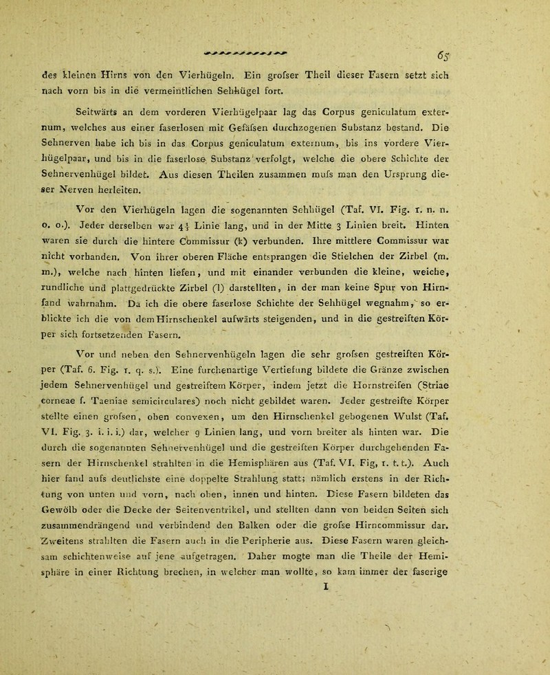 des kleinen Hirns von den Vierhügeln. Ein grofser Theil dieser Fasern setzt sich nach vorn bis in die vermeintlichen Sehhügel fort. Seitwärts an dem vorderen Vierhügelpaar lag das Corpus geniculatum exter- num, welches aus einer faserlosen mit Gefäfsen durchzogenen Substanz bestand. Die Sehnerven habe ich bis in das Corpus geniculatum exteruum, bis ins vordere Vier- hügelpaar, und bis in die faserlose- Substanz'verfolgt, welche die obere Schichte der Sehnervenhügel bildet. Aus diesen Theilen zusammen mufs man den Ursprung die- ser Nerven herleiten. Vor den Vierhügeln lagen die sogenannten Sehhügel (Taf. VI. Fig. x. n. n. o. o.). Jeder derselben war 4! Linie lang, und in der Mitte 3 Linien breit. Hinten, waren sie durch die hintere Commissur (k) verbunden. Ihre mittlere Commissur war nicht vorhanden. Von ihrer oberen Fläche entsprangen die Stielchen der Zirbel (m. m.), welche nach hinten liefen, und mit einander verbunden die kleine, weiche, rundliche und plattgedrückte Zirbel (1) darstellten, in der man keine Spur von Hirn- fand wahrnahm. Da ich die obere faserlose Schichte der Sehhügel wegnahm Uso er- blickte ich die von dem Hirnschenkel aufwärts steigenden, und in die gestreiften Kör- per sich fortsetzeriden Fasern. Vor und neben den Sehnervenhügeln lagen die sehr grofsen gestreiften Kör- per (Taf. 6. Fig. r. q. s.). Eine furchenartige Vertiefung bildete die Gränze zwischen jedem Sehnervenhügel und gestreiftem Körper, indem jetzt die Hornstreifen (Striae corneae f. Taeniae semicivculares) noch nicht gebildet waren. Jeder gestreifte Körper stellte einen grofsen, oben convexen, um den Hirnschenkel gebogenen Wulst (Taf. VI. Fig. 3. i. i. i.) dar, welcher g Linien lang, und vorn breiter als hinten war. Die durch die sogenannten Sehnervenhügel und die gestreiften Körper durchgehenden Fa- sern der Hirnschenkel strahlten in die Hemisphären aus (Taf. VI. Fig, 1. 1.1.). Auch hier fand aufs deutlichste eine doppelte Strahlung statt; nämlich erstens in der Rich- tung von unten und vorn, nach oben, innen und hinten. Diese Fasern bildeten das Gewölb oder die Decke der Seitenventrikel, und stellten dann von beiden Seiten sich zusatnraendrängend und verbindend den Balken oder die grofse Hirncommissur dar. Zweitens strahlten die Fasern auch in die Peripherie aus. Diese Fasern waren gleich- sam schichtenweise auf jene -aufgetragen. Daher mogte man die Theile der Hemi- sphäre in einer Richtung brechen, in welcher man wollte, so kam immer der faserige