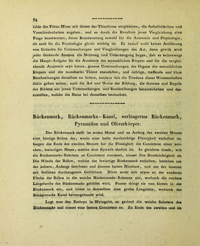 bilde des Fötus-Hirns mit denen der Thierhirne vergleichen, die Aehnlichkeiten und Verschiedenheiten angeben, und so durch die Resultate jener Vergleichung eine Frage beantworten, deren Beantwortung sowohl für die Anatomie und Physiologie, als auch für die Psychologie gleich wichtig ist. Es bedarf wohl keiner Anführung von Gründen für Untersuchungen und Vergleichungen der Art, denn gewifs wird jeder denkende Anatom die Meinung und Ueberzeugung hegen, dafs es keineswegs die Haupt-Aufgabe für die Anatomie des menschlichen Körpers und für die verglei- chende Anatomie seyn könne, genaue Untersuchungen der Organe des menschlichen Körpers und der mancherlei Thiere anzustellen, und richtige, treffende und klare Beschreibungen derselben zu liefern, sondern dafs die Tendenz dieser Wissenschaften dahin gehen müsse, auch die Art und Weise der Bildung, die Gesetze und Regeln des Bildens aus jenen Untersuchungen und Beschreibungen herauszuheben und dar- zustellen, welche die Natur bei denselben beobachtet. Rückenmark, Rückenmarks - Kanal, verlängertes Rückenmark, Pyramiden uud Olivarkörper. Das Rückenmark stellt im ersten Monat und zu Anfang des zweiten Monats eine häutige Röhre dar, worin eine helle durchsichtige Flüssigkeit enthalten ist. Gegen das Ende des zweiten Monats bat die Flüssigkeit die Consistenz einer wei- chen, breiartigen Masse, welche dem Eyweifs ähnlich ist. In gleichem Grade, wie die Rückenmarks-Substanz an Consistenz zunimmt, nimmt ihre Durchsichtigkeit ab. Die Wände der Röhre, welche das breiartige Rückenmark enthalten, bestehen aus der äufsern, Anfangs faserlosen und dünnen harten Hirnhaut, und aus der inneren mit Gefäfsen durchzogenen Gefäfshaut. Diese senkt sich etwas an der vorderen Fläche der Röhre in die weiche Rückenmarks-Substanz ein, wodurch die vordere Längsfurche des Rückenmarks gebildet wird. Ferner dringt sie von hinten in das Rückenmark ein, und bildet in demselben eine grofse Längsfalte, wodurch der Rückenmarks Kanal hervorgebracht wird. Legt man den Embryo in Weingeist, so gerinnt die weiche Substanz des Rückenmarks und nimmt eine festere Consistenz an. Zu Ende des zweiten und im