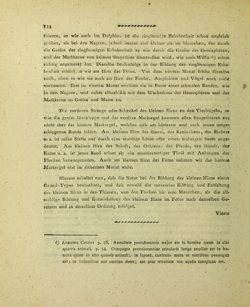 •gröfser, als bei den Nagern, jedoch immer viel kleiner als im Menschen, der durch die Gröfse der ringförmigen Erhabenheit so wie durch die Gröfse der Hemisphären, und der Markkerne von keinem Säugethier übertroffen wird, wie auch Willis d) schon richtig angemerkt hat. Dieselbe Stufenfolge in der Bildung der ringförmigen Erha- benheit erbli-ck:_-n wir am Hirn des Fötus. Vor dem vierten Monat fehlte dieselbe noch, eben so wie sie auch am Hirn der Fische, Amphibien und Vogel noch nicht vorkommt. Erst im vierten Monat erschien sie in Form eines schmalen Bandes, wie in den Nagern , und nahm allmählich mit dem Wachsthum der Hemisphären und der Markkerne an Gröfse und Masse zu. 'Die vorderen Stränge oder Schenkel des kleinen Tlirns zu den Vierhügeln, so wie die gröfse Hirnklappe und das vordere Marksegel kommen allen Säugethieren zu; nicht aber das hintere Maiksegel, welches sich am hinteren und nach innen umge- schlagenen Rande bildet. Am kleinen Hirn des Hasen, des Kaninchens, des Biebers u. a. ist seine Steile nur durch eine wulstige Linie oder einen wulstigen Saum ange- deutet. Am kleinen Hirn des Schafs, des Ochsens, des Pferds, des Hunds, der Katze u. a. ist jenes Band schon als ein membranartiger Theil mit Anhängen der Flocken hervorgetreten. Auch am kleinen Hirn des Fötus nahmen wir das hintere Marksegel erst im siebenten Monat wahr. Hieraus erhellet nun, dafs die Natur bei der Bildung des kleinen Hirns einen Grund-Typus beobachtet, und dafs sowohl die successive Bildung und Entfaltung des kleinen Hirns in den Thieren, von den Fischen bis -zum Menschen, als die all- mählige Bildung und Entwickelung des kleinen Hirns im Fötus nach denselben Ge- setzen und in derselben Ordnung erfolget. Vierte d) Anatome Cerebri p. 2(5. Annularis protuberantia major est in liomine quam in alio quovis animali. p. 34. Compages protuberantiae annularis longe amplior est in ho- mine quam in alio quovis animali; in lepore, cuniculo mure et similibus perexigua est; in volucribus aut omnino deest; aut prae tenuitate vix.oculis conspicua est.