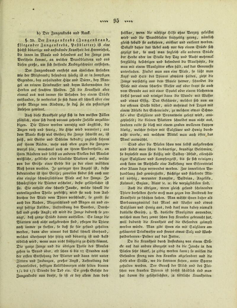 »» 95 b) Ser BungenEreöS unb 9?anE. §. 20. Ser 3ungenErel>S (Bungen&ranb, fliegenber 3ungenErebs, tpeßblatter) ifi eine J>öd;ft bösartige unb anßecEenbe 5?ranff>eit beS HotnviefpeS, bie innen im QAaule unb befonberS auf ber 3unge jurn Sßovfdpein Eomrnf, an weldper fBranbblattern unb aus biefen große, um fidp freffenbe ÄrebSgefdproüre enffrefpen. Ser 3«ngenbranb entfielt aus äßnlidpen Urfadpen Wie ber QAitsbranb; befonberS fpäußg ifi er in fumpßgeu ©egenben, bei; ant;aifenber Hibe unb Surre, bep 9)?an= gel an reinem SinEwaffer unb bepm Uebernadpfen ber Herben auf feud;fen SBeiben. 3ß bie ÄranEßeit aber einmal aus was immer für Urfad;en bep einem ©tücfe enfßanben, fo verbreitet fie ßdp bann oft fdpnelt über eine große QAenge von Qiinbern, fo bap fie ein peftarfigeS Anfelpen getvinnf, Audp biefe SfranEtpeif jeigf ßdp in ben meißen Jätlen plöfjlidp, of;ne fidp burci) voraus getpenbe Bufälte anjuEün* bigen. Sie Spiere tverben unruhig unb ängßtidp, bie Augen roffp unb feurig, bie Hifc« rvirb vermehrt; aus bem QAaule fließt viel ©eifer; bie Bunge fdpwitlt au, ifi (peiß, mit ©eifer unb ©dpleim bebccEt; jugleid) falpren auf ifprem Qlücfen, metpr nad; oben gegen bie Bungen* wurjel tpin, mancfpmal audp an itjrem SSorberttpeile, an itpren Qiänbern unb fefbji an anberen ©fetten beS QAauleS weißlidpe, gelblidpe ober bläutidpe SSfaffern auf, weldpe von ber ©röße einer ©rbfe bis 51t ber einer wätfdpen Siuß heran wadpfen. 3e geringer itpre Anjatpl ifi, befio bebeufenber ifi itpre ©röße; juweilen ßnbet fid) aud; nur eine einzige fdpwärslidpbtaue 25tafe auf ber 3unge. 3e fdptvärslidper bie (Blatter erfdpeinf, bejto gefätprtidper ifi fie. ©ie enffpält eine fdparfe 3«udpe, tve(d;e fdpnetl bie unferfiegenben Speile jerfrißf; wirb fie nad; bem 2111 f- bredpen ber 23tafe vom Spiere vcrfdplucEf, fo greift fie aud; ben 3lad;en, QAagenfdplunb unb SAagen an unb er* regt tpeftige £olifen, Auftreibung beS 35audpeS, Surdp* faß unb große Angß; oft tvirb bie Bunge babitrdp fo 5er* nagt, baß ganje ©tücfe bavon auSfatten. ©0 fange bie 23latfern nodp nidpt aufgebrodpen finb, pflegen bie Spiere nodp immer ju freffen, fo baß fie für gefunb gefpaften werben, bann aber nimmt baS Uebet fdpnelt übertpanb, wetdpeS überfpaupt fetpr tpißig unb bösartig ifi unb batb föbttidp wirb, wenn man nidpt früfpjeitig 511 Jgpüffe Eömmf. Sie ganje 3unge unb bie übrigen Spelte beS QAauleS getpen in 55ranb über, oft fdpon 6 bis t2 ©funben nadp ber erfien ©nfßetpung ber SMafter unb bann tritt unter Bittern unb 3«cfungen, großer Angß, Auftreibung beS Hinterleibes, tpeffigen Äoliffdimerjen nidpt fetten binnen 1/4 bis 1/2 ©funbe ber lob ein. ©0 große ©cfatpr ber BungenErebS nun brofpt, fo ifi er bep allem bem bodp fjeifbar, wenn bie nöftpige Jpiffe olpne SCerjug geleiflet mirb unb bie fBranbbtafen frütpseitig genug, nämtidp gleidp fobatb fie auffafpren, eröffnet unb entleert werben, ©obafb bafper baS Uebet aud) nur bep einem ©tücfe fidp gezeigt tpaf, fo muß man fogleid) alte anberen ©tücfe ber Herbe ober im ©falte bep Sag unb Qiadpf mefprmal forgfäftig befidptigen unb befonberS bie Aiautfpötpte, bie man mit einem QAaulgiffer offen tpalf, auf baS ©enauefie unferfudpeu. Jiubef man nun eine QSlafe, fo läßt man £opf unb HciB beS Spieres abwärts fpaffen, äietpf bie Bunge vorfidptig auS bem QAaute tpervor, fdpueibet bie SSfafe mit einem fdparfen QAeffec auf ober fraßt fie audp vom öntnbe auS mit einer ©pafet ober einem blechernen ßöffel tperauS unb reiniget bann bie üßunbe mit 2öaffer unb etwas ©ffig. SaS ©efdpwür, wetdpeS fidp nun an ber offenen ©feite bilbef, wirb mefprmal beS StgeS mit einem Abfube ber (Sidpenritibe, 51t wetdpem etwas ©dpwe* fei* ober ©afjfäure unb SSrannfweiu gefegt wirb, auS* gepinfelf; bie f(einen 23laffern fdpneibet man nidpt aus, fonbern reibt fie bloß mit einem groben wollenen ßappen btufig, wetdper frütper mit ©atjfäure unb burdp* näßt würbe, mit wetdpem QAitfet man audp öfter baS OAaut auSwäfdpf. ©inb aber bie S3fafen fdpon von felbft aufgebrocf)en unb ß'nbet man fdpon ErebSartige, branbige ©efdpwüre, fo bepinfetf man fie ßeißig mit ©albep-Abfub, eifenßäl* tiger ©afjfäure unb öfampfergeiß, bis fie fidp reinigen; audp Eann im fftofßfatte eine Außöfung von ©ifenvitriol ober Ataun baju verwenbef werben. Bur inncrlidpeti 35e* fpanbtung finb gewürjlpafte, ßüdpfige unb ftärfenbe IDtif* fcf nötlpig, worunter Äampfer, 53albriait, Angefifa, Kalmus, ©njian, Alant ie. ic. bie vorjüglidpßen finb^ Audp bie übrigen, wenn gleidp gefunb fdpeinenben Stpiere berfetben Hcwöe muß man gegen ben AuSbrudp ber Äranftpeit ju fdpü^en fudpen. Qftan wäfdpf itpnen batper als S3orbauungSmiffel baS QAaul mit QBaffer unb etwas ©aljfäure unb epmüg auS, bodp barf man babep niemals baSfetbe ©eräft), 5. 55. baSfetbe fOlaulgitter anwenben, wetdpeS man Eurj 5uvor fdpon bep Sranfen gebraudpt tpaf, weil baburdp bie ÄranEtpeif auf bie ©efunben geimpft werben würbe. 9Aan gibt itpnen ein mit ©atjfäure an* gefäuerfeS SrinEwaffer unb ßreuef etwas ©atj unb Söacß* fpo(berbeeren*iPulver auf baS Juffer. Sa bie SranEfpeif burdp Anßecfung von einem ©tu* efe auf baS anbere übergetpt unb ba bie 3audpe in ben SMafen fetpr fdparf, ja giftig werben Eann; fo müffen bie ©efunben ßreng von ben ÄranEen abgefonbert unb bie Höfe ober ©fälle, wo bie ßefeferen ftetpen, unter ©perre gehalten werben. Ser öenuß ber QAitdp unb beS Jfei* fdpeS von EranEen Spieren iß fpödpft fdpäbüdp unb man fpat bavon bie gcfäßrtidpßen, ja föbttidpe .ßranEtpeifcn