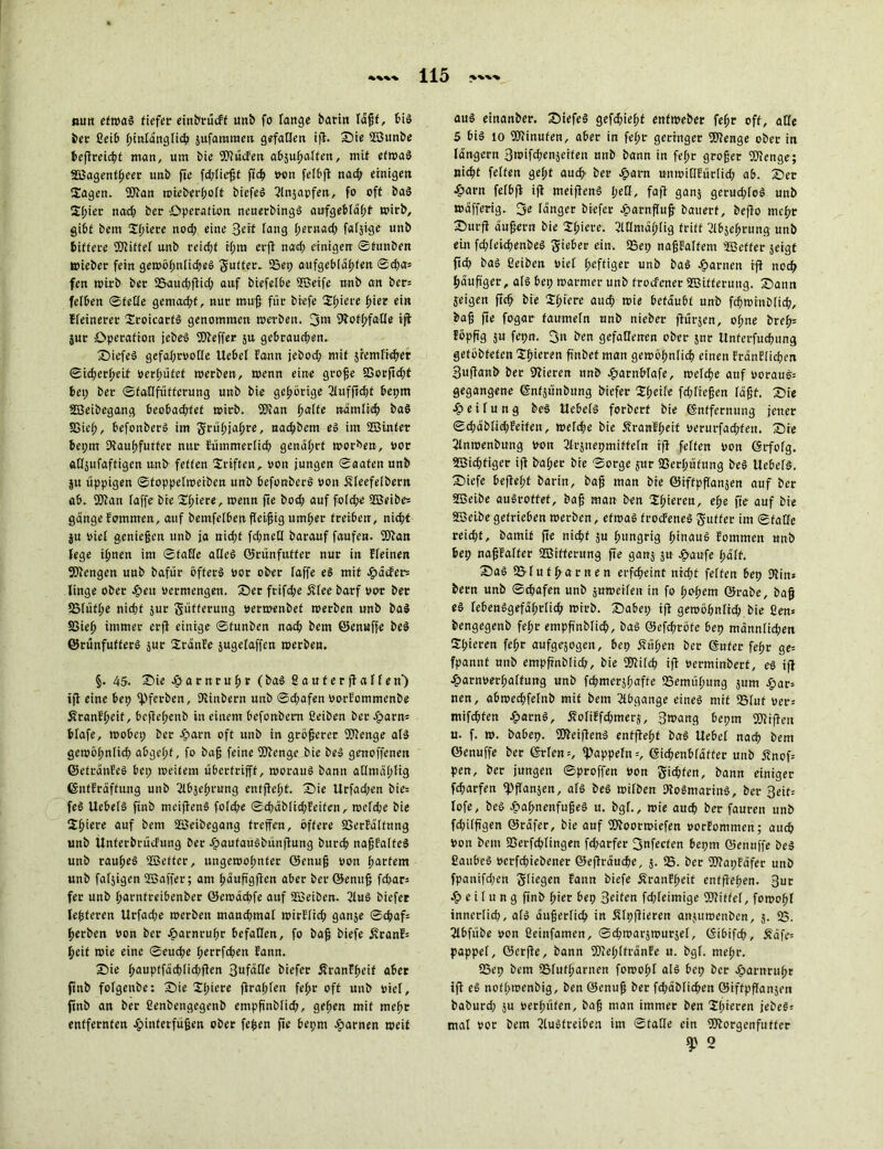 nun etwas tiefer einbrücff unb fo fange barin läßt, bis ber ßeib hinlänglich jufainraen gefallen ifi. Sie fBunbe befireicpt man, um bie SERücEeit absupalten, mit etwas «Bagentpeer unb fie fd;ließt ftch von fefbft nad; einigen Sagen. «Stan »icberhoff biefeS ßlnjapfen, fo oft bai Spier nad; ber Operation neuerbingS aufgebläht wirb, gibt bem Spiere nod; eine 3^rf fang pernad; fafjige unb bittere «Stiftet unb reicht i(;m crft nad; einigen ©tunben tpieber fein ge»öpnlid;eS gutter. S5ei; aufgeblähten ©d;a= fen wirb ber 25aud;ftid; auf biefefbe «Beife unb an ber: fefben ©feile gemacht, nur muß für biefe Spiere hier ein ffeinerer SroicartS genommen »erben. 3m SRotpfalfe ift jur Operation jebei Keffer ju gebrauchen. SiefeS gefahrvolle Uebef Eann jebod; mit sremlicpet ©id;erpett perhüfcf »erben, »enn eine große 8Sorfid;t bei; ber ©faflfütfcrung unb bie gehörige 2luffid;t bei;m «Beibegang beobacht et »irb. «Btan palte nämlich bai Sßief;, befonberS im grüpjapre, nad;bem ei im fföinter bet;m «Raupfutfer nur Eümmerficp genährt worben, vor affjufaftigen unb fetten Stiften, von jungen ©aafen unb §u üppigen ©foppelwerben unb befonberS von Äleefelbertt ab. «Otan faffe bie Spiere, »enn fte hoch auf folcpe SBeibe* gängefommen, auf bemfelben fleißig umher treiben, nicht SU viel genießen unb ja nicht fd;neQ barauf faufen. «Stau fege ihnen im ©taffe alles ©rünfutfer nur in Efeinen 2Rengen unb bafür öfter# vor ober faffe ei mit häcter* finge ober heu vermengen. Ser frifd;e £fee barf vor bet SSfütpe nid;t jur güfferung verwenbet »erben unb bai SSiep immer erfi einige ©tunben nach bem ©enuffe bei ©rünfutferS jur SränEe jugefaffen »erben. §. 45. Sie harnrupr ( bai fiauferfiaffen) ifi eine bep «Pferben, fRinbern unb ©d;afen vorEommenbe ÄranEpeit, befief;enb in einem befonbem ßeiben ber horn= bfafe, »obci; ber horn oft unb in größerer «Stenge afi ge»öhnfich abgcf;t, fo bah feine «Stenge bie bei genoffenen ©etränEeö bei; »eitern übertrifft, woraus bann atlmäßfig ©ntfräftung unb tlbjeßrung entfieht. Sie Urfad;en bie= fei Uebefi finb meifieni fofche ©cpäöIid;Eeifen, »cfdje bie Spiere auf bem «Beibegang treffen, öftere SSerfäffnng unb Ünferbrücfung ber houfauibünfiung burch naßfatfei unb rauhei fBeffer, ungewohnter öenuß von ßarfem unb faljigen SBaffer; am häufigfien aber ber ©enuß fcbar: fer unb harnfreibenber ©ewächfe auf iBeiben. ßluS bicfer leßteren Urfad;e »erben manchmal »irElicp ganje ©cpaf: herben von ber hornrußr befallen, fo baff biefe jvranh heit »ie eine ©euche f;errfchen Eann. Sie ßaupffäcbfid;ften Bufäde biefer ÄranEßeif ober finb fofgeube: Sie 2(;iere firahfen feßr oft unb vief, finb an ber ßenbengegenb empfinbfid;, gehen mit mehr entfernten hinferfüfjen ober feßen fie bepm hörnen »eit aui einanber. Siefei gefd;ief>t entweber fehr off, affe 5 bü io ©tinufen, aber in fehr geringer «Stenge ober in längern 3»ifd;enseiten unb bann in fehr großer SStcnge; nicht feiten gef;t auch' ber horn unwiOEürtid; ab. Ser h«rn fefbft ifi meifieni Ijeü, faji gan$ gerud;fei unb »äfferig. 3e länger biefer hornfluß bauert, befio mehr Surfi äußern bie Spiere. ßUImäßlig tritt ßlbjeßrung unb ein fd;feicßenbei gieber ein, 25ep naßEafteni 2ßcffer seigt fiep bai ßeiben Vief ßeffiger unb bai hörnen ifi noch häuffger, afi bei; »armer unb frocfener «Bitterung. Sann jeigen ftcß bie Spiere aud; »ie betäubt unb fcpwmblicp, baß fie fogar faumefn unb nieber ftüi-jen, ohne breh= Eöpffg ju fepn. 3u ben gefallenen ober jnr Unferfucßung getöbfetcn Shieren ffnbet man gewöhnlich einen fränEfichen Bufianb ber Stieren unb hamMafe, »eiche auf voraus: gegangene ©ntjünbung biefer 2heife fd;fießen läßt. Sie h e i f u n g bei Uebefi forberf bie ©nffernung jener ©chäbfichEeifen, »eiche bie 55ranEf;eif veruiffad;fett. Sie 2fn»enbung Von ßtrsnepmiffefn ifi feiten von (Srfofg. ffiid;figer ift baher bie ©orge Lsur Sßerf;üfnng bei Uebefi. Siefe befie(;f barin, baß man bie ©iffpffanjen auf ber 2Beibe auirotfet, baß man ben Sßieren, eße fte auf bie SSeibe getrieben »erben, efwai frocFenei guffer im ©tafle reid;t, bamif fie nicht ju ßi'offrig fnnaui Eommen unb bep naßEaffer «Bitterung fie gans 511 houfe f;äff. Sai 95-fufharnen erfcheint nid;t feffen bep «Kin* bern unb ©chafen unb juweifen in fo {joffem ©rabe, baß ei febenigefäßrlich »irb. Sabep ifi gewöhnlich bie ßen= bengegenb feßr empffnbfich, bai @cfd;röfe bep männlichen Spieren feßr aufgejogen, bep j?üf;en ber guter feßr ge= fpannf unb empffnbfich, bie «Kifch ifi vcrminberf, ei ifi harnverpaffung unb fcpmerspafte «Semüpung sum har= nen, ab»ed;fefnb mit bem Abgänge einei mit «5Iuf vet*-- mifcpfen h«rni, 5?ofiffcpmerj, 3»ang bepm «Stiften u. f. ». babep. «Sleifieni enffiepf bai Uebef nach bem ©enuffe ber ©rren=, «Pappeln =, gichenbfätter unb ä?nof= pen, ber jungen ©proffen von gidjfen, bann einiger fcharfen «Pffanjen, afi bei »ifben «RoimarinS, ber 3eit-- fofe, bei hopnenfußei u. bgf., »ie auch ber fauren unb fd;ifffgen ©räfer, bie auf «Btoorwiefen vorEommen; auch Von bem «Berfcpfingen fd;arfer 3nfecfen bepm ©enuffe bei ßaubei Vct-fchiebener ©efträuche, s- S. ber «BtapEäfer unb fpatiifchen gfiegen Eann biefe ÄranEpeit entffepen. 3ur heifung finb pier bep 3ritm fd;feimige «Sfittef, fowopf innerlich, afi äußerlich in ßfpfiieren anjuwenben, 5. 23. 2Ibfübe von ßeinfamen, ©ch»ars»ursef, (Sibifch, Ääfe= pappef, öerfie, bann «BteplfränEe u. bgf. mepr. 23ep bem 25futparnen foroopf ali bep ber hornrupr ifi ei notpwenbig, ben ©enuß ber fcpäbficpen ©iffpflansen baburd; ju verpüten, baß man immer ben Spieren jeöe#- mat vor bem 3luifreiben im ©tafle ein «Siorgenfutter sp o