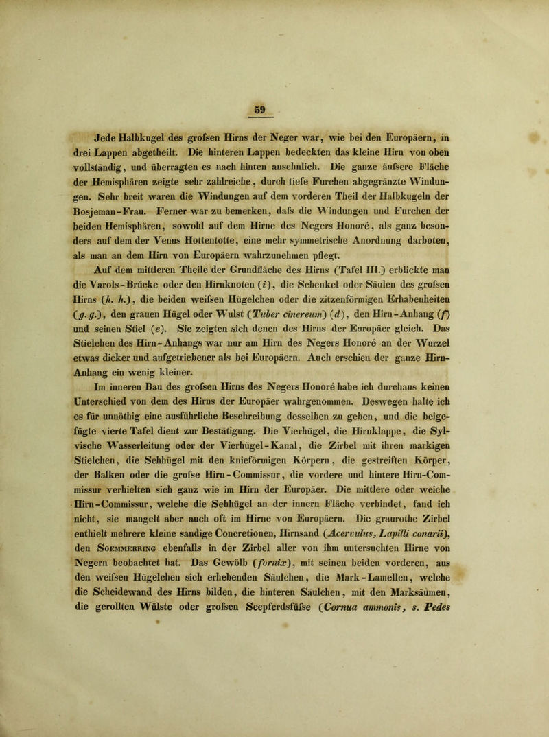 Jede Halbkugel des grofsen Hirns der Neger war, wie bei den Europäern, in drei Lappen abgetbeilt. Die hinteren Lappen bedeckten das kleine Hirn von oben vollständig, und überragten es nach hinten ansehnlich. Die ganze äufsere Fläche der Hemisphären zeigte sehr zahlreiche, durch tiefe Furchen abgegränzte Windun- gen. Sehr breit waren die Windungen auf dem vorderen Theil der Halbkugeln der Bosjeman-Frau. Ferner war zu bemerken, dafs die Windungen und Furchen der beiden Hemisphären, sowohl auf dem Hirne des Negers Honore, als ganz beson- ders auf dem der Venus Hottentotte, eine mehr symmetrische Anordnung darboten, als man an dem Hirn von Europäern wahrzunehmen pflegt. Auf dem mittleren Theile der Grundfläche des Hirns (Tafel III.) erblickte man die Varols-Brücke oder den Hirnknoten («), die Schenkel oder Säulen des grofsen Hirns (A. h.), die beiden weifsen Hügelchen oder die zitzenförmigen Erhabenheiten Cg. 9.3, den grauen Hügel oder Wulst (Tuber einer eum) (d), den Hirn-Anhang (f) und seinen Stiel (e). Sie zeigten sich denen des Hirns der Europäer gleich. Das Stielchen des Hirn-Anhangs war nur am Hirn des Negers Honore an der Wurzel etwas dicker und aufgetriebener als bei Europäern. Auch erschien der ganze Hirn- Anhang ein wenig kleiner. Im inneren Bau des grofsen Hirns des Negers Honore habe ich durchaus keinen Unterschied von dem des Hirns der Europäer wahrgenommen. Deswegen halte ich es für unnöthig eine ausführliche Beschreibung desselben zu geben, und die beige- fügte vierte Tafel dient zur Bestätigung. Die Vierlmgel, die Hirnklappe, die Syl- vische Wasserleitung oder der Vierhügel-Kanal, die Zirbel mit ihren markigen Stielchen, die Sehhügel mit den knieförmigen Körpern, die gestreiften Körper, der Balken oder die grofse Hirn - Commissur, die vordere und hintere Hirn-Com- missur verhielten sich ganz wie im Hirn der Europäer. Die mittlere oder weiche Hirn-Commissur, welche die Sehhügel au der innern Fläche verbindet, fand ich nicht, sie mangelt aber auch oft im Hirne von Europäern. Die graurothe Zirbel enthielt mehrere kleine sandige Concretionen, Hirnsand (Acervulus, Lapilli conarii), den Soemmerring ebenfalls in der Zirbel aller von ihm untersuchten Hirne von Negern beobachtet hat. Das Gewölb (/brma?), mit seinen beiden vorderen, aus den weifsen Hügelchen sich erhebenden Säulchen, die Mark - Lamellen, welche die Scheidewand des Hirns bilden, die hinteren Säulchen, mit den Marksäumeu, die gerollten Wülste oder grofsen Seepferdsfüfse QCorma ammonis, s. Pedes