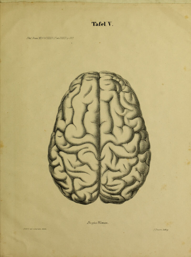 TafelT jBosjc/S Jtfwum. i-f-Sasir-c. IztÄvg. Jjunrel ad, n*f*treu*u, dstlsv.