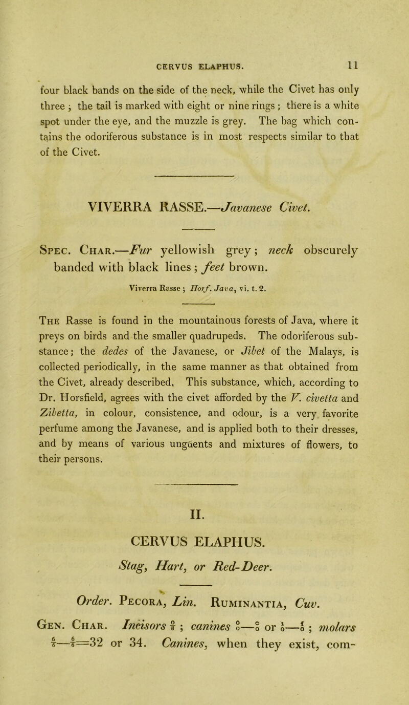 four black bands on the side of the neck, while the Civet has only three ; the tail is marked with eight or nine rings ; there is a white spot under the eye, and the muzzle is grey. The bag which con- tains the odoriferous substance is in most respects similar to that of the Civet. VIVERRA RASSE.—Javanese Civet. Spec. Char.—Fur yellowish grey; neck obscurely banded with black lines ; feet brown. Viverra Rasse ; Horf. Java, vi. t. 2. The Rasse is found in the mountainous forests of Java, where it preys on birds and the smaller quadrupeds. The odoriferous sub- stance; the dedes of the Javanese, or Jibet of the Malays, is collected periodically, in the same manner as that obtained from the Civet, already described. This substance, which, according to Dr. Horsfield, agrees with the civet afforded by the V. civetta and Zibetta, in colour, consistence, and odour, is a very favorite perfume among the Javanese, and is applied both to their dresses, and by means of various unguents and mixtures of flowers, to their persons. II. CERVUS ELAPHUS. Stag, Hart, or Red-Deer. Order. Pecora, Lin. Ruminantia, Cuv. Gen. Char. Inciso?'s £ ; canines o—S or l—o ; molars 4—4=32 or 34. Canines, when they exist, com-