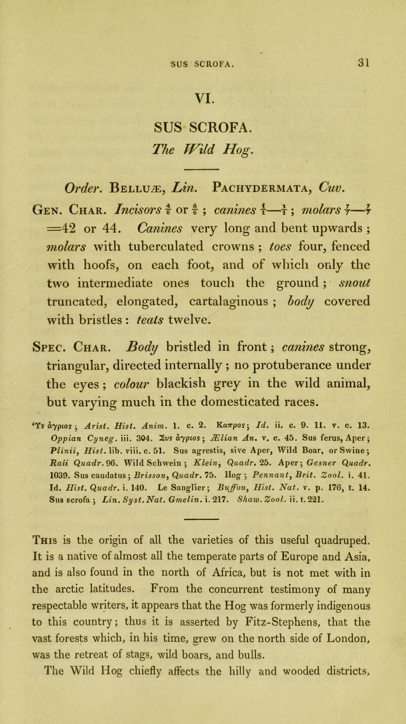 VI. SUS SCROFA. The Wild Hog. Order. Bellu^, Lin. Pachydermata, Cuv. Gen. Char. Incisors lorf ; canines t—f ; molars f—f =42 or 44. Canines very long and bent upwards ; molars with tuberculated crowns ; toes four, fenced with hoofs, on each foot, and of which only the two intermediate ones touch the ground ; snout truncated, elongated, cartalaginous ; body covered with bristles : teats twelve. Spec. Char. Body bristled in front; canines strong, triangular, directed internally ; no protuberance under the eyes ; colour blackish grey in the wild animal, but varying much in the domesticated races. ‘Ts aypios ; Arist. Hist. Anivi. 1. c. 2. Kcarpos-, Id. ii. c. 9. 11. v. c. 13. Oppian Cyneg. iii. 304. Svsa/ypios; JElian An. v, c. 45. Sus ferus, Aper; Plinii, Hist. lib. viii. c. 51. Sus agrestis, sive Aper, Wild Boar, or Swine; Raii Quadr. 96. Wild Schwein ; Klein, Quadr. 25. Aper •, Gesner Quadr. 1039. Sus caudatus ; Brisson, Quadr. 75. Hog; Pennant, Brit. Zool. i. 41. Id. Hist. Quadr. i. 140. Le Sanglier; Buffon, Hist. Nat. v. p. 176, t. 14. Sus scrofa ; Lin. Syst.Nat. Gmelin. i. 217. Shaw. Zool. ii. t.221. This is the origin of all the varieties of this useful quadruped. It is a native of almost all the temperate parts of Europe and Asia, and is also found in the north of Africa, but is not met with in the arctic latitudes. From the concurrent testimony of many respectable writers, it appears that the Hog was formerly indigenous to this country; thus it is asserted by Fitz-Stephens, that the vast forests which, in his time, grew on the north side of London, was the retreat of stags, wild boars, and bulls. The Wild Hog chiefly affects the hilly and wooded districts.