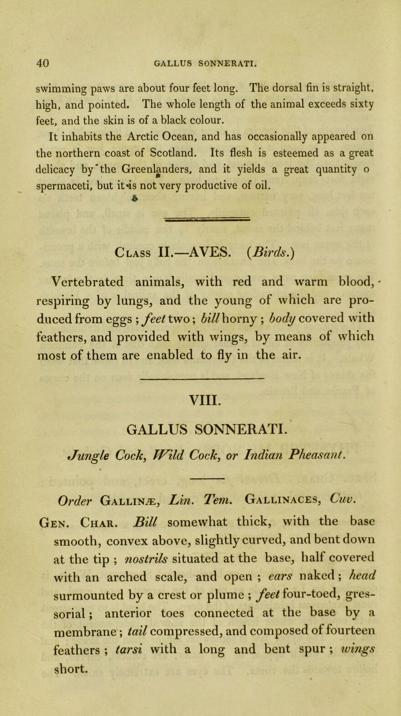 swimming paws are about four feet long. The dorsal fin is straight, high, and pointed. The whole length of the animal exceeds sixty feet, and the skin is of a black colour. It inhabits the Arctic Ocean, and has occasionally appeared on the northern coast of Scotland. Its flesh is esteemed as a great delicacy by‘the Greenlanders, and it yields a great quantity o spermaceti, but itns not very productive of oil. & Class II.—AVES. (Birds.) Vertebrated animals, with red and warm blood, - respiring by lungs, and the young of which are pro- duced from eggs ; feet two; bill horny ; body covered with feathers, and provided with wings, by means of which most of them are enabled to fly in the air. VIII. GALLUS SONNERATI. Jungle Cock, Wild Cock, or Indian Pheasant. Order Galling, Lin. Tem. Gallinaces, Cuv. Gen. Char. Bill somewhat thick, with the base smooth, convex above, slightly curved, and bent down at the tip ; nostrils situated at the base, half covered with an arched scale, and open ; ears naked; head surmounted by a crest or plume ; feet four-toed, gres- sorial ; anterior toes connected at the base by a membrane ; tail compressed, and composed of fourteen feathers ; tarsi with a long and bent spur ; wings short.