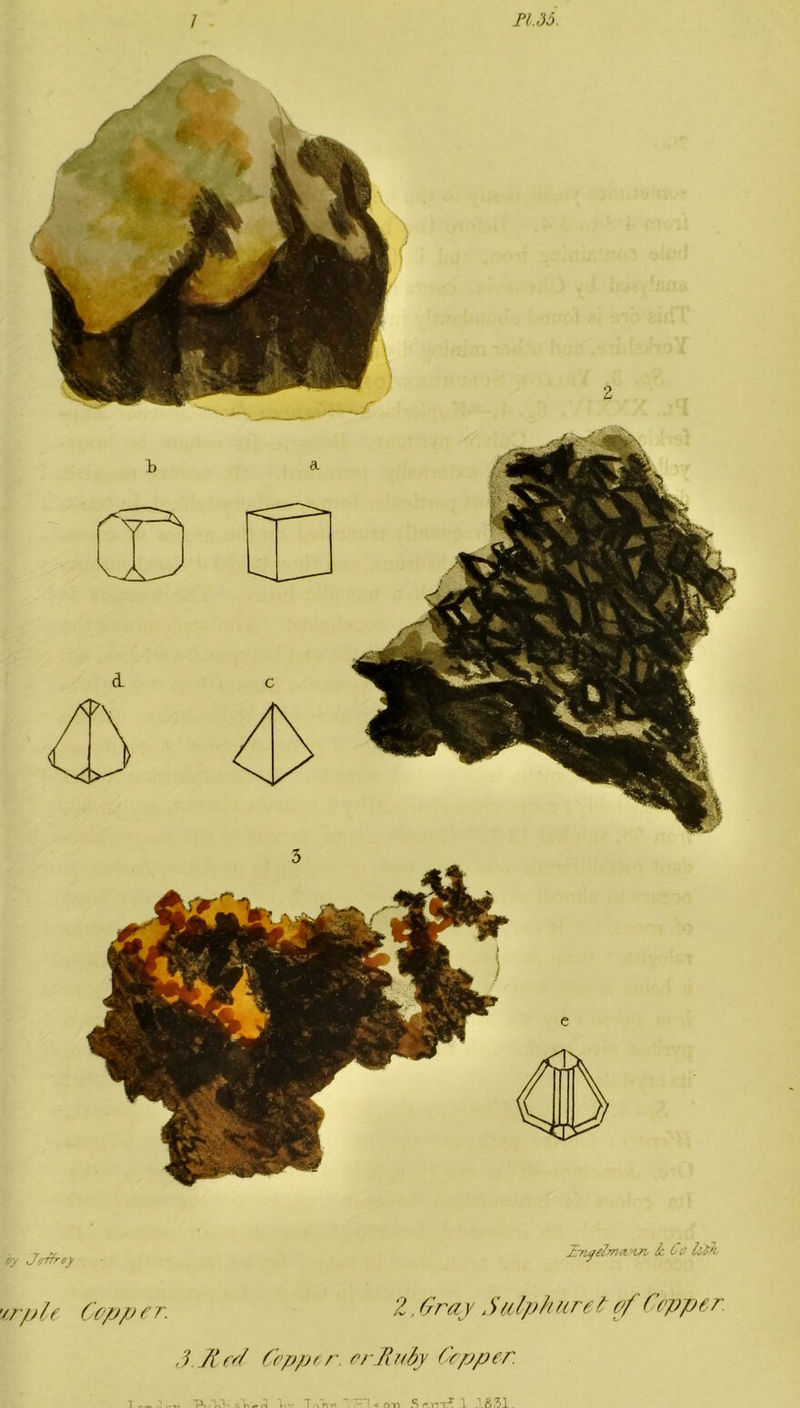 e cry Jeffrey Zmgdmn'in, k Co Uth 'irple Cep per. 2, Cray Sulphuret of Cepper. J. Tteel Cepper. or Ruby Cepper. A l.v T.'.V < cm S rmrT 1 JL831.