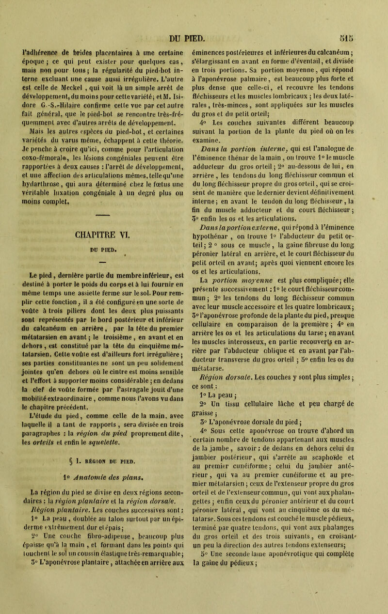 l’adhérence de brides placentaires ù une certaine époque ; ce qui peut exister pour quelques cas, mais non pour tous; la régularité du pied-bot in- terne excluant une cause aussi irrégulière. L’autre est celle de Meckel , qui voit là un simple arrêt de développement, du moins pour cette variété; etftl. Isi- dore G.-S.-Hilaire confirme celte vue par cet autre fait général, que le pied-bot se rencontre très-fré- quemment avec d’autres arrêts de développement. Mais les autres espèces du pied-bot, et certaines variétés du varus même, échappent à celte théorie. Je penche à croire qu’ici, comme pour l’articulation coxo-fémorale, les lésions congéniales peuvent être rapportées à deux causes : l’arrêt de développement, et une affection désarticulations mêmes,tellequ’une hydarthrnse, qui aura déterminé chez le fœtus une véritable luxation congéniale à un degré plus ou moins complet. CHAPITRE VI. DU PIED. Le pied, dernière partie du membre inférieur, est destiné à porter le poids du corps et à lui fournir en même temps une assiette ferme sur le sol. Pour rem- plir cette fonction, il a été configuré en une sorte de voûte à trois piliers dont les deux plus puissants sont représentés par le bord postérieur et inférieur du calcanéum en arrière, par la tête du premier métatarsien en avant ; le troisième, en avant et en dehors, est constitué par la tête du cinquième mé- tatarsien. Cette voûle est d’ailleurs fort irrégulière ; ses parties constituantes ne sont un peu solidement jointes qu’en dehors où le cintre est moins sensible et l’effort à supporter moins considérable ; en dedans la clef de voûte formée par l'astragale jouit d’une mobililé extraordinaire , comme nous l’avons vu dans le chapitre précédent. L’étude du pied, comme celle de la main, avec laquelle il a tant de rapports, sera divisée en trois paragraphes :1a région du pied proprement dite, les orteils et enfin le squelette. § I. RÉGION DU PIED. 1° Anatomie des plans. La région du pied se divise en deux régions secon- daires : la région plantaire et la région dorsale. Région plantaire. Les couches successives sont ; 1° La peau , doublée au talon surtout par un épi- derme extrêmement dur et épais; 2° Une couche fibro-adipeuse, beaucoup plus épaisse qu’à la main , et formant dans les points qui touchent le sol un coussin élastique très-remarquable; 3° L’aponévrose plantaire, attachée en arrière aux éminences postérieures et inférieures du calcanéum ; s’élargissant en avant en forme d’éventail, et divisée en trois portions. Sa portion moyenne, qui répond à l’aponévrose palmaire, est beaucoup plus forte et plus dense que celle-ci, et recouvre les tendons fléchisseurs et les muscles lombricaux ; les deux laté- rales , très-minces, sont appliquées sur les muscles du gros et du petit orteil; 4° Les couches suivantes différent beaucoup suivant la portion de la plante du pied où on les examine. Dans la portion interne, qui est l’analogue de l’éminence thénar de la main, on trouve 1° le muscle adducteur du gros orteil; 2° au-dessous de lui, en arrière , les tendons du long fléchisseur commun et du long fléchisseur propre du gros orteil, qui se croi- sent de manière que le dernier devient définitivement interne; en avant le tendon du long fléchisseur, la fin du muscle adducteur et du court fléchisseur ; 3° enfin les os et les articulations. Dans laportion externe, qui répond à l’éminence hypothénar , on trouve 1° l’abducteur du petit or- teil; 2° sous ce muscle, la gaine fibreuse du long péronier latéral en arrière, et le court fléchisseur du petit orteil en avant; après quoi viennent encore les os et les articulations. La portion moyenne est plus compliquée; elle présente successivement :1° le court fléchisseur com- mun ; 2° les tendons du long fléchisseur commun avec leur muscle accessoire et les quatre lombricaux ; 3° l’aponévrose profonde delà plante du pied, presque cellulaire en comparaison de la première ; 4° en arrière les os et les articulations du tarse; en avant les muscles interosseux, en partie recouverts en ar- rière par l’abducteur oblique et en avant par l’ab- ducteur transverse du gros orteil ; 5° enfin les os du métatarse. Région dorsale. Les couches y sont plus simples ; ce sont : 1° La peau ; 2° Un tissu cellulaire lâche et peu chargé de graisse ; 3° L’aponévrose dorsale du pied ; 4° Sous cette aponévrose on trouve d’abord un certain nombre de tendons appartenant aux muscles de la jambe, savoir : de dedans en dehors celui du jambier postérieur, qui s’arrête au scaphoïde et au premier cunéiforme; celui du jambier anté- rieur , qui va au premier cunéiforme et au pre- mier métatarsien ; ceux de l’extenseur propre du gros orteil et de l’exlenseurcommun, qui vont aux phalan- gettes ; enfin ceux du péronier antérieur et du court péronier latéral, qui vont au cinquième os du mé- tatarse. Sous ces tendons est couché le muscle pédieux, terminé par quatre tendons, qui vont aux phalanges du gros orteil et des trois suivants, en croisant- un peu la direction des autres tendons extenseurs; 5° Une seconde lame aponévrotique qui complète la gaine du pédieux ;