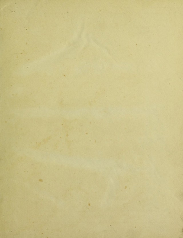 digitised image 3