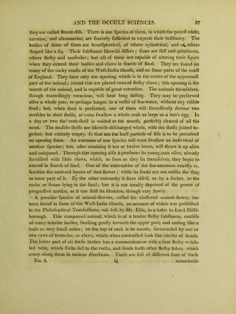 they are called ftower-fifh. There is one fpecies of them, in which the pureft white, carmine, and ultramarine, are fcarcely fufficient to exprefs their brilliancy. The bodies of fome of them are hemifpherical, of others cylindrical, and o^ others fliaped like a fig. Their fubltance likewife differs ; fome are Itiff and gelatinous, others flellry and mufcular; but all of them are capable of altering their figure when they extend their bodies and claws in fearch of food. They are found on many of the rocky coalts of the Weft-India illands, and on fome parts of the coalt of England. They have only one opening, which is in the centre of the uppermofl part of the animal; round this are placed rows of flefhy claws; this opening is the mouth of the animal, and is capable of great extenfion. The animals themfelves, though exceedingly voracious, will bear long fafting. They may be preferved alive a whole year, or perhaps longer, in a veffel of fea-water, without any vifible food ; but, when food is prefented, one of them will fucceffively devour two mufcles in their fhells, or even fwallow a w'hole crab as large as a hen’s egg. In a day or two the' crab-fhell is voided at the mouth, perfectly cleared of all the meat. The mufcle-fhells are likewife difcharged whole, with the fhells joined to- gether, but entirely empty, fo that not the leafl particle of fifli is to be perceived on opening them. An anemone of one fpecies will even fwallow an individual of another fpecies; but, after retaining it ten or twelve hours, wall throw it up alive and uninjured. Through this opening alfo it produces its young ones alive, already furnifhed with little claws, which, as foon as they fix themfelves, they begin to extend in fearch of food. One of the extremities of the fea-anemone exactly re_ fembles the outward leaves of that flower ; while its limbs are not unlike the lhag or inner part of it. By the other extremity it fixes itfelf, as by a fucker, to the rocks or Itones lying in the fand; but it is not totally deprived of the power of progreffive motion, as it can drift its lituation, though very flowly. A peculiar fpecies of animal-flowers, called the cluftered animal-flower, has been found in fome of the Weft-India illands, an account of which was publilhed in the Philofophical Tranfa6lions, vol. lvii. by Mr. Ellis, in a letter to Lord HillT- borough. This compound animal, which is of a tender flellry fubltance, confiits of many tubular bodies, fwelling gently towards the upper part, and ending like a bulb or very fmall onion; on the top of each is its mouth, furrounded by one or two rows of tentacles, or claws, which when contracted look like circles of beads. The lower part of all thefe bodies has a communication with a firm flellry wrink- led tube, which Iticks fait to the rocks, and fends forth other flellry tubes, which creep along, them in various directions. Thefe are full of different fizes of thefe No. 4. Q remarkable