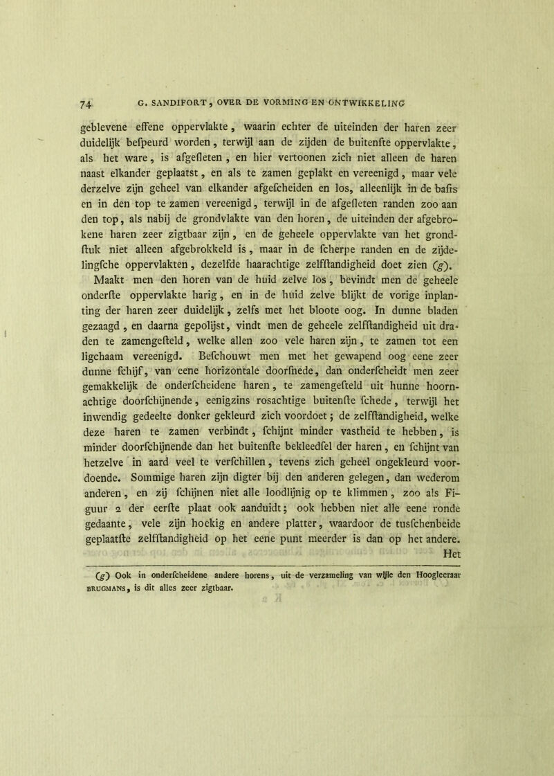geblevene effene oppervlakte , waarin echter de uiteinden der haren zeer duidelijk befpeurd worden, terwijl aan de zijden de buitenfte oppervlakte, als het ware, is afgelleten , en hier vertoonen zich niet alleen de haren naast elkander geplaatst, en als te zatnen geplakt en vereenigd, maar vele derzelve zijn geheel van elkander afgefcheiden en los, alleenlijk in de bafrs en in den top tezamen vereenigd, terwijl in de afgefieten randen zoo aan den top, als nabij de grondvlakte van den horen, de uiteinden der afgebro- kene haren zeer zigtbaar zijn, en de geheele oppervlakte van het grond- ftuk niet alleen afgebrokkeld is , maar in de fcherpe randen en de zijde- lingfche oppervlakten, dezelfde haarachtige zelfftandigheid doet zien (g). Maakt men den horen van de huid zelve los, bevindt men de geheele onderfte oppervlakte harig, en in de huid zelve blijkt de vorige inplan- ting der haren zeer duidelijk, zelfs met het bloote oog. In dunne bladen gezaagd , en daarna gepolijst, vindt men de geheele zelfftandigheid uit dra- den te zamengefteld, welke allen zoo vele haren zijn, te zamen tot een ligchaam vereenigd. Befchouwt men met het gewapend oog eene zeer dunne fchijf, van eene horizontale doorfnede, dan onderfcheidt men zeer gemakkelijk de onderfcheidene haren, te zamengefteld uit hunne hoorn- achtige doorfchijnende, eenigzins rosachtige buitenfte fchede , terwijl het inwendig gedeelte donker gekleurd zich voordoet; de zelfftandigheid, welke deze haren te zamen verbindt, fchijnt minder vastheid te hebben, is minder doorfchijnende dan het buitenfte bekleedfel der haren, en fchijnt van hetzelve in aard veel te verfchillen, tevens zich geheel ongekleurd voor- doende. Sommige haren zijn digter bij den anderen gelegen, dan wederom anderen, en zij fchijnen niet alle loodlijnig op te klimmen , zoo als Fi- guur 2. der eerfte plaat ook aanduidt; ook hebben niet alle eene ronde gedaante, vele zijn hoekig en andere platter, waardoor de tusfchenbeide geplaatfte zelfftandigheid op het eene punt meerder is dan op het andere. Het ('g) Ook in onderfcheidene andere horens, uit de verzameling van wijle den Hoogleeraar brugmans, is dit alles zeer zigtbaar.