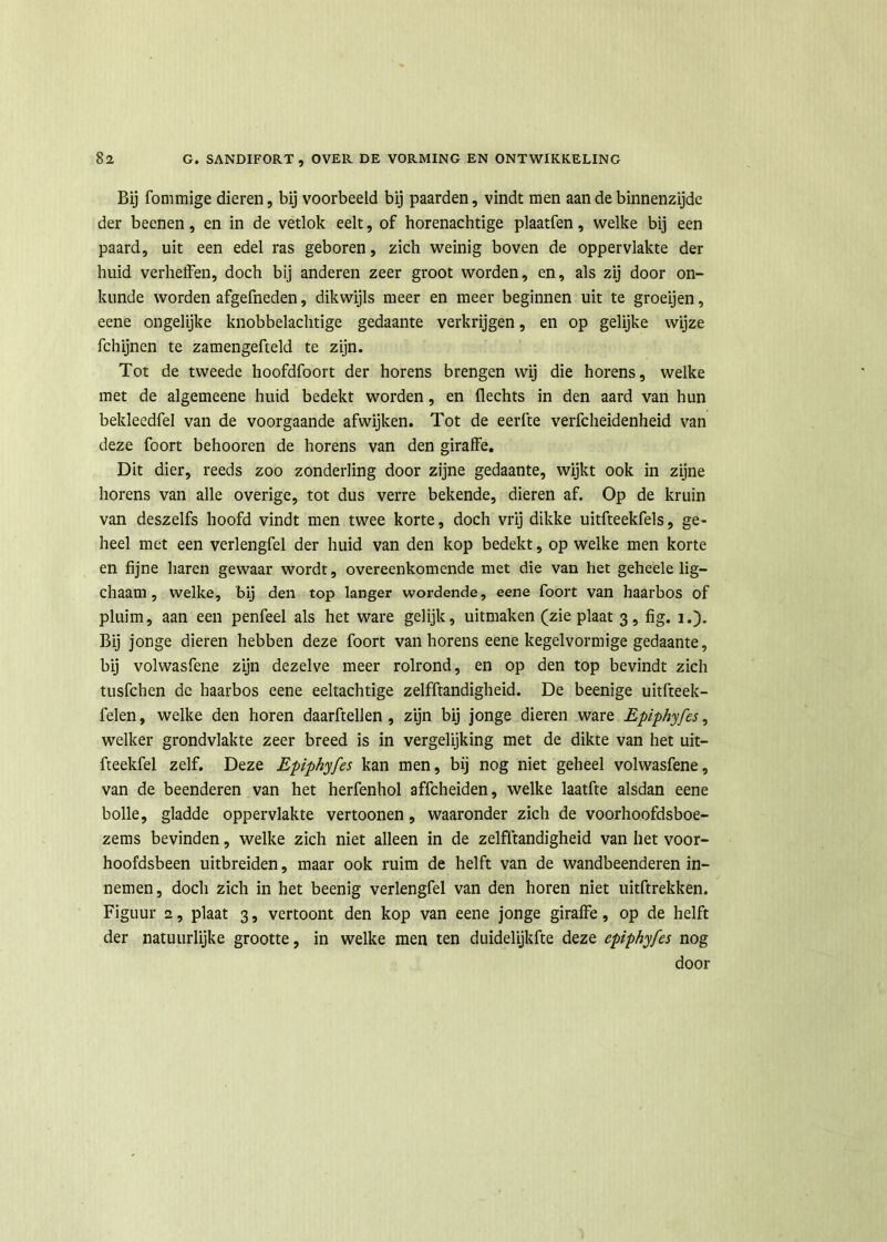 Bij fommige dieren, bij voorbeeld bij paarden, vindt men aan de binnenzijde der becnen, en in de vetlok eelt, of horenachtige plaatfen, welke bij een paard, uit een edel ras geboren, zich weinig boven de oppervlakte der huid verheffen, doch bij anderen zeer groot worden, en, als zij door on- kunde worden afgefneden, dikwijls meer en meer beginnen uit te groeijen, eene ongelijke knobbelachtige gedaante verkrijgen, en op gelijke wijze fchijnen te zamengefteld te zijn. Tot de tweede hoofdfoort der horens brengen wij die horens, welke met de algemeene huid bedekt worden, en Hechts in den aard van hun bekleedfel van de voorgaande afwijken. Tot de eerfte verfcheidenheid van deze foort behooren de horens van den giraffe. Dit dier, reeds zoo zonderling door zijne gedaante, wijkt ook in zijne horens van alle overige, tot dus verre bekende, dieren af. Op de kruin van deszelfs hoofd vindt men twee korte, doch vrij dikke uitfteekfels, ge~ heel met een verlengfel der huid van den kop bedekt, op welke men korte en fijne haren gewaar wordt, overeenkomende met die van het geheele lig— chaam, welke, bij den top langer wordende, eene foort van haarbos of pluim, aan een penfeel als het ware gelijk, uitmaken (zie plaat 3, fig. 1.). Bij jonge dieren hebben deze foort van horens eene kegelvormige gedaante, bij volwasfene zijn dezelve meer rolrond, en op den top bevindt zich tusfchen de haarbos eene eeltachtige zelfftandigheid. De beenige uitfteek- felen, welke den horen daarftellen , zijn bij jonge dieren ware Epiphyfes, welker grondvlakte zeer breed is in vergelijking met de dikte van het uit- fteekfel zelf. Deze Epiphyfes kan men, bij nog niet geheel volwasfene, van de beenderen van het herfenhol affcheiden, welke laatfte alsdan eene bolle, gladde oppervlakte vertoonen, waaronder zich de voorhoofdsboe- zems bevinden, welke zich niet alleen in de zelfftandigheid van het voor- hoofdsbeen uitbreiden, maar ook ruim de helft van de wandbeenderen in- nemen, doch zich in het beenig verlengfel van den horen niet uitftrekken. Figuur 2, plaat 3, vertoont den kop van eene jonge giraffe, op de helft der natuurlijke grootte, in welke men ten duidelijkfte deze epiphyfes nog door