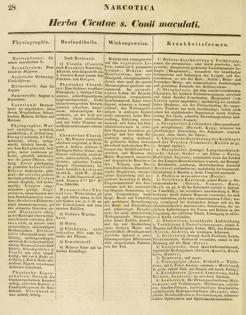 Ilerha Cicutae s, ConU mamlatL Pby siographie. Bestandtbeilc. Co- Mutterpflanzc: nium macidatuin L. Sexiialsyste»i: Pen- tandria Digyma. Natürliche Ordnung: JJmheUifera e. Blüthenzeit: Juni bis August. Samenreife; August a. September. Vaterland; Deutsch- land; an ungebaiiten, öden OrteJi, Wegrändern, Schutt- haufen, Mauern, Gräben und Hecken. Phy10graphie; Wur- zel zweijährig, Aveifslicli, spindelförm., 8-10 Zoll lang. Stengel aufrecht, 3-7 Fufs, ■walzruud, rührig, ‘zartge- streift, bläulich bereift, un- ter dem Reif glänzend, hell- grün, meist rothbrauu ge- fleckt, gänzlich unbehaart, wie die ganze Pflanze, viel- ästig. Aeste gabelspaltig, m. gestielter A c h s e Idol d e. Blätter dunkelgrün, glän- zend ; die u n t e r e u gestielt, dreifach gefiedert; Fiedern einind-länglich, tief fieder- spaltig; Lappen einge- schuitteii - gesägt; Säge- zähne m. einem kurzen wei- fseii Stachelspitzchen verse- hen; dieob ereil Blätterwe- nrger zusammengesetzt, auf den schmalen Scheiden siz- zend. Blattstiele rührig, an der Basis mit einer weH'sli- chen Scheide versehen. B i ü - then weifs, in achsel- oder endständigen, vielstrahligen Doldentrauben, B1 ü t h en - hülle {Perinnthiutii) viel- blättrig, zurückgeschlagen. abfallend. K e l ch scharf flinf- zähnig. B l um en k ronefunf- blättrig. Staubgefäfse 5. Frucht aus zwei eiruud- kuglig., mit vor d. Reife ge- kerbten, z. Zeit d. Reife wel- lenfürm. Rippen versehenen Acheuien bestehend. Physische Eigen- schatten: G e r u e li des frrsclizen|iietschttm Krautes widrig, zwischen Katzen- u. i’antharidengeruch die Mitte haltend. Geschmack et- was scharfj widrig. Nach Bertrand; 1) Ciciitin (C 011 i ein nach Brandes) Schierling- Alkaloid, rein dargestellt aus d. frischen Kraut sanimt den F^rüchteii von Geiger. Physischer Charak- ter: Eine farblose, tropfbare F'lüssigkeit, v. ülartiger Coii- sistenz, scbierlingsartigem, kopf'einneliniendem, leicht thräneiierregendem Geruch, äiifserst scharfem, iiaiise- üseni, tahaksartigem Ge- sehniaek, an der Luft zer- setzbar, leicht entziiiidhar und mit heller Flamme un- ter Kohlenriickstaud verbren- nend. C hem isolier Charak- ter: Mit Wasser vermisidit, alkalisch reagirend, in Wein- geist H. Aether, sidtener in tliiehtigen Oelen, lösbar; mit Säuren vollständig nentrali- sirte, nukrystallisirl)., leicht- lösliche, salzartige \'erhin- dungeii (Cieiitin'salze) bil- dend; besteht n. Uehigans 00,913 K., 12,00 \\., 12,805 St. n. 8,282 Sauerstoff od(>r nach .Vtoineu C‘* IP* N* 0 = 1308,980. D y n a m i s c h e r C h a - r a k t e r: fVirkt höchst gif- tig und tödtet schon in klei- nen Gaben (zu gr. I -2) un- ter Convnlsionen und teta- uischen Zutalleu. 2) Grünes Wachs- Iiarz. \ 3) Harz. 4) Flüchtiges, sehr scliarfes Oei vom Ge- rüche der Pflanze. o) Eiweifssfoff. 6) Mehrere Salze mit ka- lisclier Grundlage. Wirkungsweise. Krankbeitsformen.( Bezieht sicli vorzugsweise auf das vegetative Le- hen, zumal auf d. gesammtc Lymph-, Drüsen- und Haut syst ein, hier ver- flüssigend, resorptionsheför- dernd, aber aiicli die innere Metamorphose <|ualitativ mii- stimmeiid. Im aiii mali- schen Lehen die Reizeni- pfäuglichkeit vermindernd, lierabstimmend, daher beru- liigend, selimerz- n. krampf- stilleiid; das M'irkiingsver- inögeii in mäfsigeii Gaben nieltt antastend, keine Bliit- wallniig, Erliitzung veran- lassend, und daher bei Sen- ^ibilitätsexcessen in irrita- blen Organen besonders an- gezeigt und liier dem Bil- senkraut analog Avirkend. In gröfseren (»abeii treten die scharf narkotischen \\ ir- kiingen ein: Gefühl von Con- strictioii und Brennen im Halse, Mageinveh, nanseöse und dyspeptisehe Beschwer- den , Neigung zum Bre- chen, Entcrody nie, Diirehläll. starke Diaphores«*, ervsipe- atöse Entzündung mul pu- stnlöser Ansschlag d. Haut, ingenonimenheit des Sen- soriiims und der sensoriel- len Organe, Somnolenz, vo iiöse Congestionen nach Kopf, Brust mul Fnterleih, mit merkbarer Retardirung des Herz- und Adersehlags und schwieriger Respira- tion ; hei noch intensiverem Wirkungsgrade Steigerung aller dieser Znläile, maneh- mal bis zur Absclieidiing eines blutigen Harns und Speichcltlufs; Dysphagie und wirkliche Aphonie ii. unter ähmungsartigen Aflectionen aller animalischen Functio- nen der Tod. 1) O rü s en-A n sehw eil n n g n. Verhärtung, zumal die scropluilöse, oder durch psorische, her- petische, rlieuinatiseh-gichtische Causalmoinente be- dingte (Hauptmittel), besonders bei krankhafter Intuniescenz und Induration der Lj’mph- und Ge- krösdrüseii, so wie der Hals-, Schild-, Brust- und Vorsteher-Drüse, mit schmerzhaften Aeufserungeii und gereiztem Zustande des Gefafssystems. • 2) Sk roph ul osis, mit dem sensibel-erethischen Cluirakter, bei leichten Fieberbewe^un^eu, nervöser umf dabei florider Constitution, Hauptinittel (von Störck zuerst einptoblen); naclitbeili^ bei entzünd- licher OiatliesCj wo der t leckscliierling die suppu- rative Tendenz nur noch beschleunigt; indefs auch schon bei stattflndender Suppuration durch Verbes- serung des Übeln, scharfen Secretionsproducts heil- sam. Besondere Formen: a. S k r o p h u 1 ö s e L i c h t s c h e n {^Dncryoadennl^ fiiff sciophulosfi) (Dzondi, Kopp; letzterer bei gleichzeitiger Anwendung des Em/dustr. vesicat, /leipet. Jan. hinter die Ohren). b. V h r o n i s c h e Fi n t z ü n d 11 n g d e s K e h 1 k 0 p f s n n d dc r I ra eh ea (Comiuotti; Baillie zu gr. V. dreimal täglich). 0. Skrophiilöse (knotige) L u ii gen s ch win d- slicht (Adair, (iehel — mit China — Paris, lliifeland, Sai tori), vornämlich wenn das Leiden in den Lungen-Broiiehialdrüsen wurzelt, mit Krarnpf- II. Reizhusteii, profusem, ühelrieehendem Auswurf (Richter) verhiinden ist; nachtheilig hei beginnend. F^ntzündiing d. Knuten u. deutl. Congestivznstaude. d. Pitt hi sis mesenteric a (ßorda). 3) Scirrhns u. Karciiiom, zumal Brust- u. Ge- härmiitterkrehs (Störck, Camper, Rust, Halle zu gr. 8-20 bis Schwindel eintritt ii. äufserl. zu Unischläg.), hei seirrhöser Anschwellung d. Wei- herhriist; durch äiifsere Momente veranlafst, bei sich erst hildemlem, nicht sehr schmerzhaftem Cebel; we- nig vermögend bei krehshafter Anlage und avo die eharakteristischeii laueinireiiden Sehmerzen, die va- rikösen Auftreibungen der 4'enen und Drüsen in der Cingehuiig des affieirteu Theils, Uebergaug in offe- nen Krebs verkünden. ' 4) Ohstriiction, krankhafte Auftreibung II. 4 erhärtiing d. Un t e r I eibs o r gan e, zumal d. Magens und Daimkanals, Leber, Milz, des Pankreas (Störck, Andree), als Avichtiges Adjuvans. 5) Oysk rasien, besond. durch Psoriasis, Lepra, F'lechteiiscliäife, Gichtstoff veranlalst, zumal in der Riciitiiiig auf die Haut (Stüve). 0) L US tso liehe, durch Uuecksilbermifsbrauch, eigentliche llydragyrosis (Störck, Uuariii, Buch- holz, II unter). 7) Neurosen, und zAvar: a. Prosopalgie (Jahn, Sieb old — Tliile- n i u s, mit d. Tinct. Guajac. ammon. — H u f e 1 a u d, in grol's. anhalt. Gab. mit Guajak mit rasch. Erfolg). b. Keichhusteii (L e n t in, A r ms t r o ii g, J ajj u, Richter, Sandrock) im nervösen Stadiiim. 8) Aeufserlich: Bei Drüsengeschwülsten (Ilah- nemann) und Verhärtungen, 3iilchknoten, scirrhö- seii AnsehAvellmigen, kareinomatöseu GeseliAvüreii, syphilitischen llodengesehwiilsten (Dzondi), skro- phiilös. Ilornhautfleekeu u. Verdunkelungen, schmerz- haften Ophthalmieu und Ophthalmoblennorrhöeii.