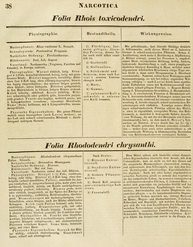Folia Fhois to.vicodendri. Physiograpbie. Bestaniltbeilc. 1 Wirkungsweise. \ Mutterpflanze: Rhi/s radicans L. Strauch. Sexualsystem; Pentandrin Trigynia, Natürliche Ordnung: T'erehinthaceae. Blüthenzeit: Juni, Juli> August. Vaterland: Nordamerika (Virginien, Carolina und Caiiada), in Europa cultivirt. Phytographie: Wurzel rÖthlich, ästig. Sten- gel 4-5 Fufs, wurzelnd-kletternd, holzig, ästig, mit grau- brauner Rinde. Blätter langgestielt, dreizählig; Blätt- chen bist 3 Zoll lang, oben eitörmig-inigespitzt, biswei- len lappig eingeschnitten; das mittlere länger gestielt, oben dunkel-, unten blafsgriin. Bliithen gelbgriinlich, in den Blattwinkeln in kleinen ästigen Rispen stehend. Kelch btheilig, abfallend. Krone 5blättrig. Blät- ter scliw'efelijelb oder gelblich grün, bisweilen purpur- roth geadert. Fnicht eine kuglige, weifslich graue, mit 5 Langaiitürchen versehene, eiiisamige Steinfrucht. Same (Stein) hellbraun, mit G Längenstreifen, zusam- mengedrückt. Physische Eigenschaften: Die ganze Pflanze enthält einen braungelben (nach Lavini weilsen), au der Luft sich schnell schwärzenden Milchsaft v. durch- dringend widrigem Geruch. • 1) Flüchtiges, äus- serst giftiges, ätzen- des Princip, dessen Na- tur noch nicht naher ermit- telt ist. 2) Gerbstoff. 3) Gallussäure. 4) Stärkemehl und Schleim, wozu nach L a- vini’s neueren Untersu- chungen noch 5) Harz, C) Gummi, 7) salzsaurcs Kali u. Schwefel- u. salzsau- rer Kalk kommen. Die prävalirendc, fast ätzende flüchtige Schärfe d. Giftsumachs, stellt dieses Mittel an d. äufsersto Grenze d. scharf-narkotischen Pflanzen. Schon d. Ausdünstung, noch mehr d. Berührung u. Abpflückung d. Blätter erzeugt, zumal bei Personen v. empfind- samer Haut, erysipelatöse RÖthung, lieftig. .lucken, bedeutende Ansclnveihmg u. endl. einen pemphigus- ähnlichen blasigen Ausschlag d. Haut, W'clcher unter allgemeinen febrilischen Reactionen einige Tage ste- hen bleibt 11. dann unter Desiiuamation d. Oberhaut verschwindet. Namentl. sollen diese Wirkungen nach Sonnenuntergang, so wie bei trüber, regnichter Wit- terung erfolgen — nach Laviiii durch dann stattfin- dende Exhalation eines mit Kohlenwasserstoff ver- mischten scharf-giftigen Pnncips. — Regere Bethä- tigung d. Transpirations Geschäftes, d. liaruabschei- dung u. d. excernirend. Function d. Darmkanals sol- len d. hervorstechendsten Wirkungen seines inneren Gebrauchs sein, während bei intensiv verstärkter An- wendung d. bereits angegeb. scharf-narkotischen Er- scheinungen sich eintiiiden. Vermöge seines flüch- tigen scharf-narkotisch. Princips afticirt das Mittel, u. zwar in eigenthüml. erregender Weise, das Rük- kenmark, ii. zunächst d. bewegende Sphäre desselb. (eine \\ irkung, die mit der der Brechnufsy iel Ueber- einstimmeiules hat), so dafs nach C. Meyer’s Ver- suchen an Thiereii, diese durch das (zu 5r^’’'A)0 in die Wunde gebrachte Extract convulsiv verschie- den — woher denn auch seine unbestreitbare u. oft überraschende Wirkung in lähmungsartig. Zuständen der von Rückenmarksnerven versorgten Gebilde. FoJhi MJtododendrl chr}jsantld. Mutteriiflanzc: Rhododendron chrysanthum Pallas. Strand». , . Sexaalsvstem: Decandrtn Monogynia. Natürliche Ordnuii},^: Ericeae. BlUtheiizeit: Mai and .luni. ^ Vaterland: Nordasien, zumal das ostl. Sibirien. Phvto:?ranl»ie; Sten<j;el l-l' Fiils, rostbraun, holzi*/, sehr ästi-. Plätter 1.^-2 Zoll lan;^, oben dun- keWriin (scharf anzufiihlen, Pallas), unterhalb diejun- <ren rostfarben, d. aussrewachsenen ttriin, mehr i^latt sicli anfühlend, län-lich, sidtzi^^ am Rande zurückj-ebo-cn, netzförmiii ireadertlederartiir. R 1 u m en s,^rots, avciIs oder röthVich, lanjitfestielt. an der Spitze der Zwei|;c zu 6 in Lnpfelständii:!,' viclblüthi^^ Doldentraubcn, uberliau- :;end. Hlumeiiknospcu mit dachziciielarti^en, rost- bräunlichen, etwas filzigen, nach der Rliithe abfallenden Schuppen. Kelch (nach Pallas fehlend) sehr klein, einblättrig, ozähnig. lilumenkrone gelb, rad- oder kurztrichterförmig, am Rande 5lappig. Lappen, die 3 oberen gröfser, bläulich gestreift, die 2 unteren unp^- tleckt. Staubgcfäfse 10. Frucht eine längliche, 5 eckige, Sfachrige, mit 5 nachenförmigen, einwärts ge- bogenen Klappen aufspringende, mit säulenständigen Placenten versehene Kapsel. Same klein, feilstaub- artig, mit einer Haut. Physische Eigenschaften: Gerneh der Rlat- tor widrig, schwach rhabarberurtig. Gesell mack bitter, scliarf und adstringirend. Nach Stolze: 1) Bitterer Extrac- t i V s 10 f f. 2) 0 X y d i r t e r E X t r a c- t i V s t o f f. 3) Grünes Pflanzen- w a c h s. A) Durch Kali ausgezo- gene extractartige S ub- s t aHZ. 5) Faserstoff. Dies Mittel nähert sich liiusiclits seiner dynami- schen Eigenschaften einerseits dem Aconit, mit dem l'nterscliiede, dafs es niebt so tief wie dieses auf die orgaiiisclic Metamorphose eiuzuwirken vermag, und andererseits dem (»iftsiimacl!, nur dafs ihm des- sen überwiegende scliarfstofiige Eigeutliiimliclikei- ten abaelien.' Nach Art aller bisiier abgehaiulelien scharfen iSarkotica greift cs sowohl das vegetative als das animalische Leben, im crstereii vorzugsweise d. schleimabsoiideriiden Flächen, d. äiifsereii Haut — wobei sich gemeinhin ein juckendes GetTih! und bei intensiverer Einwirkung Empfindungen von Nadel- stichen, Ameisenlaufen und starke Diaphorese ein- zustellen pflegen — u. die harnabsonderndeu Organe, in gröfseren Gaben merklich an, erzeugt Brennen im Halse, Magen- und Jfarmschmerzeu, Uebelkeit, Erbrechen und Durchfall, mit welchen Jh>schcinun- o-en sich die von dem Ergriifeiisein des höheren sen- soriellen Nervenlebens zeugenden Zufälle, wie Be- nommenheit, rauschartige Fmneblung des Hauptes. Schwindel, Betäubung, Schlafsucht verbinden. Köl- pin führte die Sclincerose zuerst in die Praxis ein.