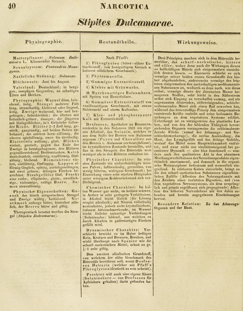 StipUes Dnlcamarae. Pbysiograpliie. B estandtlieile., M utterpflanze: Solmium Dulc- amara L. Kliimiieudcr Strauch. Scxualsjstem: Petitandria Mono- gynia. Natürliche Ordnung: Solaneae. BlUthenzeit: Juni bis August. Vaterland: Deutschland; in bergi- gen, suinptigen Gegenden, au schattigen llferu und Hecken. Phytographie: Wurzel dünn, krie- chend, ästig. Stengel melu-ere Ful's lang, strauchartig, kletternd oder liegend, ästig. Zweige walzrund, hin- und her- gebogen, federkieldick; die älteren mit bräunlich-grüner, rissiger, die jüngeren mit blafsgelblicher, in’s Grünliche tallen- der Rinde. B1 ä 11 e r 2 - 3 Zoll lang, ge- stielt, ganzrandig, auf beiden Seiten un- behaart; die unteren herz-eiförmig, die oberen spiefsförmig, zwei- bis dreitheilig. Blattstiele zolllang, glatt. Blüthen >iolett, gestielt, gegen das Knde der Zweige in herabgebogenen, den Blättern gegenüherstehend. Doklentrauben. Kelch ilnukelviolett, einblättrig, napffönnig, tüiif- zähnig, bleibend. Blumen kröne vio- lett, einblättrig, fiinflappig. Lappen ei- förmig-länglich, spitzig, zuriickgcschlagen, mit zwei grünen, drüsigen Flecken be- zeichnet. Staubgefäfse fünf. Frucht eine rotho, elliptische, glatte, zweifäch- rige, vielsamige, saftige Beere. Sa- men nierenförmig. Physisch er Eigenschaften: Ge- ruch der frisch zerquetschten Stengel und Zweige widrig, betäubend. Ge- schmack anfangs bitter, hinterher süfs- lich, der Beeren bitter und giftig. Therapeutisch benutzt werden die Sten- gel {ßtipites Dulcamarae), Wirkungsweise. Nach Pf aff: 1) Pikroglycion'(bitter - süfscr Ex- tracti\Stoff, von honigartigem Geruch u. äufserst siifslichein Geschmack). 2) Phyteumacolla. 3) ' <T u m m i g e r E x t r a c t i v s t o f f. >4) Kleber mit Grün wachs. My rrh enartiges Balsamharz, mit Spuren von Benzoesäure. r>) Gummöser E x t r a c t i v s t o f f von vanillenartigcm Geschmack, mit etwas Stärkemehl und einmn Kalksalze. 7) Klee- und p h o s p h o r s a u r e r Kalk mit Extractivstolf. Desfosscs, Apotheker zu Bcsant;^on, entdeckte in den Solaneen 1K21 ein eige- nes Alkaloid , das S o I a n i n, welches er aus dem Safte der Beeren von lÜoUtnum nigrinn (P ay e n und G h e v a 11 i e r aus den Be(M'eii v. Solanum verhitscifoliuniy, im krystallisirten Zustande herstellte, und das in den Stengeln des Bittersüfs weit weniger als in den Blättern (mthalteu ist. Physischer Charakter: Im rein- sten Zustande ein undurchsichtiges weis- ses Pulver, luftbestäudig. geruchlos, von wenig-bitterm, widrigem (leschmack; bei Einwirkung eines sehr starken llitzgrades unter winzigem Kohlenrückstand »ich ver- tlüchtigend. Chemischer Charakter: Im kal- ten Wasser gar nicht, im heifsen schwer, in Aether in sehr geringem Verhältnisse-, in Alkohol leicht löslich (die Lösung reagirt alkalisch),-mit Säuren vollständig reutralisirte, jedoch nicht kr^ stallisirbare, äufserst bitterschmeckeude, im AVasser leicht lösliche salzartige Verbindungen (Solaninsalze) bildend, 'aus welchen es durch Alkalien in gallertartigen Flocken gefällt wird. Dynamischer Charakter: A^cr- schhickt bewirkt es iin Halse heftigen Reiz, Kratzen und Brennen, Brechen, und wirkt überhaupt nach Spazier wüe die scharf-narkotischen Mittel; schon zu gr. ^-1 sehr giftig. Den zweiten alkalischen Grundstoff, von welchem der süfse Geschmack des Bittersüfs herrühren soll, nennt Desfos- ses Dulcarin (welcher mit Pfaff’s Pikroglycion identisch zu sein scheint). P cs einer Avill auch eine eigene Säure (S o 1 a n i n s ä u r e — von D e s f o s s e s für Apfelsäure gehalten) darin gefunden ha- ben. Drei Principien machen sich in dem Bittersüfs be- merkbar, das scharf - narkotische, bittere und süfse, woher denn auch die AAürkungen dieses so heilkräftigen Mittels sich einigermafsen einsicht- lich deuten lassen. — Einerseits schliefst es sich vermöge seiner beiden ersten Grundstoffe den bis- her abgehandelten, andererseits vermöge des letz- teren einigermafsen den zuckerhaltigen medikamentö- sen Substanzen an, wodurch es denn auch, wie diese selbst, vermöge dieses der thierischen Masse ho- mogenen Stoffes, sehr leicht in den Säftestrom selbst sich Eingang zu verschaffen vermag, und als sogenanntes diluirendes, säftereiuigendes, schärfe- verbesserndes Mittel sich einen Ruf erworben hat, wahrend das bitterstoffige I^rincip ihm einigermafsen tonisireude Kräfte verleiht und seine heilsamen Be- ziehungen zu dem vegetativen Systeme erklärt. Ueberhaupt ist es vorzugsweise das plastische Le- ben, und von den der bildenden Thätigkeit bevor- stehenden Organen vorzugsweise die schleimabson- derude Fläche (zumal der Athmuugs- und Ge- schlechtswerkzeuge), die seröse Auskleidung, die Haut, das Lympligefäfs und das drüsige Gebilde, worauf das Mittel seine Hauptwirksamkeit entfal- tet, und zwar nicht nur vitalitätssteigernd bei ge- sunkener Dyu amik — also blos functionell — son- dern auch den qualitativen Akt in den abnormen Mischungsverhältnissen der Secrctionsprodukte eigen- thümlich umstimmend, und demnach in die organi- sche Metamorphose bedeutsam und wesentlich ein- greifend. lu stärkeren Gaben einverleibt, bringt cs die den scharf-narkotischen Substanzen eigenthüm* liehen Zufälle (Affection des Nahruiigskauals mit den Zeichen einer verletzten Digestion, und (von dem vegetativen Nervensysteme, als dem ursprüng- lich und primär ergriffenen sich propagirende) Affec- tion des höheren Nervcnlebens mit den dahin se- henden und bereits augegelwiieu Erscheinungen hervor. Besondere Relation: Organen und der Haut. Za den Athmungs-