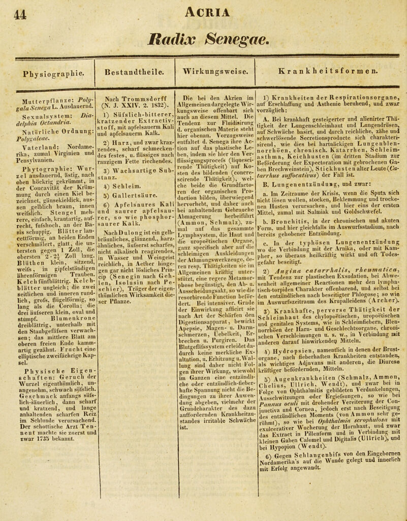 Radix Senegae., PLysiograpliie Mutterpflanze: galaSenegtih> Ausdauernd. Sexualsystem: Dia- delphia Octandria. Natürliche Ordnung: Pohjgaleae. Wirkungs-weise. Krankheitsformen. Virgiuieu Nordame- und Vaterland: rika, zumal Peus3dvanien. Phytographie: Wur- zel ausdauernd, ästig, nach oben höckrig gekrümmt, in der Concavität der Krüm- mung durch einen Kiel be- zeichnet, gänsekieldick, aus- sen .gelblich braun, innen Aveifslich. Stengel meh- rere, einfach, krantartig, auf- recht, fufshoch, an der Ba- sis schuppig. Blätter lan- cettförmig, an beiden Enden verschmälert, glatt, die un- tersten gegen 1 Zoll, die obersten 2-24 Zoll lang. Bliithen klein, sitzend, weifs, in gipfelständigen ährentormigen T rauben. Kelch fünfblättrig. Kelch- blätter ungleich; die zwei seitlichen und inneren rund- lich, grofs, flü^elfönnig, so lang als die Corolla; die drei äufseren klein, oval und stumpf. Blumenkrone dreiblättrig, unterhalb mit den Staubgefüfsen verwach- sen; das mittlere Blatt am oberen freien Ende kamm- artig gezähnt. Frucht eine elliptische zweifachrige Kap- sel. Physische Eigen- schaften: Geruch der Wurzel eigenthümlich, un- angenehm, schwach siUslich. Geschmack anfangs süfs- lich-säuerlich, dann scharf und kratzend, und anhaltenden scharfen Reiz im Schlunde verursachend. Der schottische Arzt Ten- ne n t machte sie zuerst und zwar 1735 bekannt. Nach Trommsdorff (N. J. XXIV. 2. 1832). 1) SUfslich-bitterer, kratzender Extractiv- stoff, mit apfelsauerm Kali und apfelsauerm Kalk. 2) Harz, und zwar kraz- zendes, scharf schmecken- des festes, u. flüssiges nach ranzigem Fette riechendes. 3) Wachsartige Sub- stanz. 4) Schleim. 5) Gallertsäure. 6) A p f e l s a u r e s Kali und saurer apfelsau- rer, so wie phosphor- saurer Kalk. Nach D u 1 o n g ist ein gelb- bräunliches, glänzend., harz- •ähnliches, äufserst scharfes, nicht alkalisch reayirendcs, in Wasser und Weingeist reichlich, in Aether hinge- gen gar nicht lösliches Prin- cip QSenegin nach Geh- len, Isolusin nach Po- se hi er), Träger der eigen- thümlichen AVirksamkeit die- ser Pflanze. Die bei den Akrien im Allgemeinen dargelegte Wir- kungsweise offenbart sich aucii an diesem Mittel. Die Tendenz zur Fluidisirung d. organischen Materie steht hier obenan. Vorzugsweise entfaltet d. Senega ilire Ac- tion auf das plastische Le- ben, indem sie hier den Ver- flüssigungsprocefs (licjuesci- rende Thätigkeit) auf Ko- sten des bildenden (concre- scirende Thätigkeit), avcI- che beide die Grnndfacto- ren der organischen Pro- duction bilden, überwiegend hervorhebt, und daher auch bei anhaltendem Gebrauche Abmagerung herbeiführt (Ammon, Schmalz), zu- mal auf das gesammte Lymphsystem, die Haut und die uropoetischen Organe, ganz specitisch aber auf die schleimigen Auskleidungen der Athmungswerkzeuge, de- ren resp. Thätigkeiten sie im Allgemeinen kräftig unter- stützt, eine regere Metamor- phose begünstigt, den Ab- u. Ausscheidungsakt, so wie die resorbirende Function betör- dert. Bei intensiver. Grade der Einwirkung afticirt sie nach Art der Schärfen den Digestionsapparat, bewirkt Apepsie, Klagen- u. Darm- schmerzen, Üebelkeit, Er- brechen u. Purgiren. Das Blutgefäfss^'stcm erleidet da- durcl» keine merkliche Ex- altation, u. Erhitzung u.A\)il- lung sind daher nicht Fol- gen ihrer AAürkung, wiewohl im Ganzen eine entzündli- che oder entzündlich-lieber- hafte Spannung nicht die Be- dingungen zu ihrer Anwen- dung abgeben, vielmehr der Grundcharakter des tVazu auffordernden Krankheitzu- staiides irritable Schwäche ist. 1) Krankheiten der Respirationsorgane, auf Erschlaffung und Asthenie beruhend, und zwar vorzüglich: A. Bei krankhaft gesteigerter und alienirter Thä- tigkeit der Lungenschleimhaut und Lungendrüsen, auf Schwäche basirt, und durch reichliche, zähe und schwerlüsende Secretionsproducte sich charakteri- sirend, wie dies bei hartnäckigen Lungenblen- norrhöen, chronisch. Katarrhen, »chleim- ast hma, Keichhusten (im dritten Stadium zur Beförderung der Expectoration mit gebrochenen Ga- ben Brechvveinstein), Stickhusten alter Leute(64i- tarrhus suffocativus) der Fall ist. B. Lungenentzündung, und zwar: a. Im Zeiträume der Krisis, wenn die Sputa sich nicht lösen wollen, stocken, Beklemmung und trocke- nen Husten verursachen, und hier eins der ersten Mittel, zumal mit Salmiak und Goldschwefel. b. Bronchitis, in der chronischen und akuten Form, und hier gleichfalls im Auswurfsstadium, nach bereits gehobener Entzündung. c. In der typhösen Lungenentzündung wo die Verbindung mit der Arnika, oder mit Kam- pher, so überaus heilkräftig wirkt und oft Todes- gefahr beseitigt. 2) Angina catarrhalis^ rheumatica, mit Tendenz zur plastischen Exsudation, bei Abwe- senheit allgemeiner Reactionen mehr den lympha- tisch-torpiden Charakter offenbarend, und selbst bei den entzündlichen nach beseitigter Phlogose; so wie im Auswurfszeitraum des Krupalleidens (Archer). 3) Krankhafte, perverse Thätigkeit der Schleimhaut des chylopoetischen, uropoetischen und genitalen Sy stems, wie in Schleimfiebern, Blen- norrhöen der Harn- und Geschlechtsorgane, chroni- schen Verschleimungen u. s. w\, in Verbindung mit anderen darauf hinwirkendep Mitteln. 4) Hydropsien. namentlich in denen der Brust- or'^ane nach fieberhaften Krankheiten entstanden, als wichtiges Adjuvans mit anderen, die Diurese kräftiger befördernden, Mitteln. 5') Augenkrankheiten (Schmalz, Ammon, Chelius, Ullrich, Wendt), und zwar bei iu Fol-e von Ophthalmitis gebildeten Aerdunkelungen, Aus”schwitzungen oder fergiefsungen, so wie bei Pannus oculi mit drohender Vereiterung der Cou- iniictiva und Cornea, jedoch erst nach Beseitigung des entzündlichen Moments (von Ammon sehr ge- rühmt'), so wie bei Ophthalmia scrophulosa mit exulcerativer AA’^ucherung der Hornhaut, und zwar das Extract in Pillenform und in Verbindung mit kleinen Gaben Calomel und Digitalis (Ullrich), und bei Hypopiou (AVeudt). 6^ Gegen Schlangenbifs von den Eingebornen Nordamerika’s auf die AVundc gelegt und innerlich mit Erfolg angew'andt.
