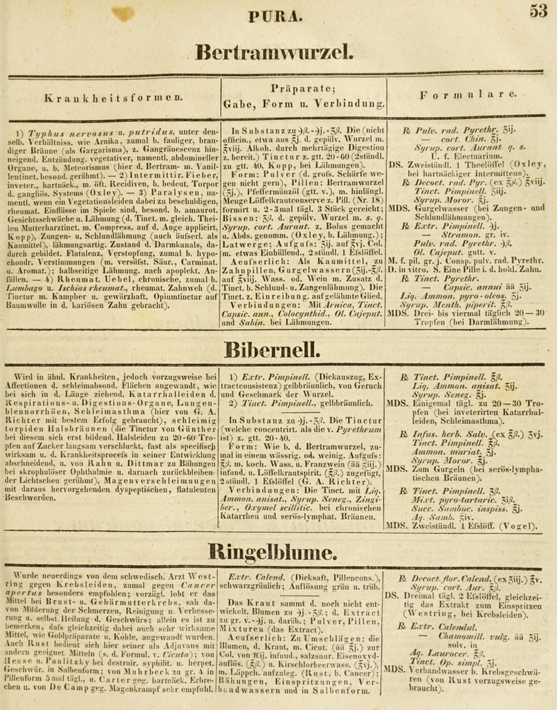 Bcrlramwurzcl. K r a u k h e i t s f 0 r in c n. Präparate; Gabe, Form u. Yerbintlung. F 0 r in 11 1 a r c. - 1) Typhus nervös HS ii. putrid us, unter dcn- selb. Verliältniss. wie Arnika, zumal b. fanliüjer, bran- dis^er Bräune (als Gaif^arisma), z. Gauö;räuescenz liin- neis^end. Entziiudiiug. ve»;etativer, namentl. abdomineller Organe, n. b. Meteoiismns {^liier d. Bertram- m. A'anil- lentinct. besoud. frerülimO. — 2) I n te r mi 11 i r. Fi e be r, inveter., liartnäck., m. oft. Recidiven, b. bedeut. Torpor d. i!;ani!;liös. Systems (Oxley). — 3) Paralysen, na- mentl. wenn ein \’cgetationsieiden dabei zu bescliuldij^en, rhenmat. Eintliisse im Spiele sind, besond. b. amaurot. Gesielitsscliwäche n. Lähmung (d. Tinct. m. gleich. Tliei- len Mutterharztinct. m. Compress. auf d. Auge applicirt, Kopp), Zungen- u. Schluudlälimung (auch äufserl. als Kaiimittel), lähmungsartig. Zustand d. Darmkanals, da- durch gebildet. Flatulenz, Verstopfung, zumal b. hypo- eliondr. Verstimmungen (m. versiifst. Säur., Carminat. II. Aromat.); halbseitige Lähmung, nach apoplekt. An- fällen. — 4) Rhenmat. Uebel, chronische, zumal b. Lumbago u. Ischias rheumat.^ rheumat. Zahnweh (d. Tiuctur m. Kampher u. gewürzhaft. Opiumtinctur auf Baumwolle in d. kariösen Zahn gebracht). In S uh stanz zu ^,9.-)j.-5,9. Die (nicht officin., etwa aus 5j. d. gepiilv. Wurzel m. 5viij. Alkoh. durch mehrtägige Digestion X. bereit.) Tiuctur z. gtt. 20 - 60 (2stiindl. zu gtt. 40, Kopp, bei Lähmungen). F 0 rm: Pulver (d. grofs. ScJiärfe we- gen nicht gern), Pillen: Bertramwurzel (5J.), I’feftermünzöl (gtt. v.), m. hinlängl. MengeLöffelkrautconserve z. Pili. (Nr. 18) formirt u. 2-3mal tägl. 3 Stück gereicht; Bissen: ^ß. d. gepiilv. Wurzel rn. s. q. Syrup, cort. Aurant. z. Bolus gemacht u. Abds. genomm. (Oxley, b. Lähmung.); Latwerge; Aufgufs: 5ij. aufgyj. Col. m. etwas Einhiillend., 2stiiudl. 1 Efslöff'el. Aeufserlich: Als Kaumittel, z\i Z a hji p i 11 e n, G u r g ehv a s se r n (5u--ir^- auf gviij. Wass. od. Weiu m. Zusatz d. Tinct. b. Schlund- u. Zungenlähmung). Die Tinct. z. E i n r e i b u n g. auf gelähmte Glied. Verbindungen: Mit A/ nica, Tinct. Capsic. mm.., Colocynthid.., Ol. Cajeput. und Sahin. bei Lähmungen. R. Pulv. rad. Pyrethr.^ 5Ü‘ — cort. Chhi. 5i* Syrup. cort. Aurant. q. s. U. f. häectuarium. DS. Zweistündl. 1 Theelört'e! (Oxley, bei hartnäckiger intermittens)^ R Decoct. rad. Pyr. (ex ^ßß) 5' i*j* leinet. Pimpinell. 5*0. Syrup. Moror. 5j. MDS. Gurgehvasser (bei Zungen- und Schlundlähmungen). R E.i'tr. Pimpinell. ^j. — Stramon. gr. iv. Pulv. rad. Pyret'hr. -)ß» Ol. Cajeput. gutt. v. M. f. pil. gr. j. Consp. pulv. rad. Pyrethr. D. in vitro. S. Eine Pille i. d. hohl. Zahn. R IVnct. Pyrethr. — Capsic. annui ää 5Ü* Liq. Ammon. pyro-oleos\ 5j- Syrup. Menth, piperit. ^ß. MDS. Drei- bis viermal täglich 20 — 30 Tropfen (bei Darmlähmung). Bibernell. Wird in ähnl. Krankheiten, jedoch vorzugsweise bei AlTectionen d. schleimabsond. Flächen angewandt, wie hei sich in d. Länge ziehend. Kata rrhal leiden d. Respirations- u. Digestions- Organe, Lungen- bien norrh öen, Schleimasthma (hier von G. A. Richter mit bestem Erfolg gebraucht), schleimig torpiden Halsbräunen (die Tinctur von Günther bei diesem sich erst bildend. Halsleiden zu 20-60 Tro- pfen auf Zucker langsam verschluckt, fast als specifisch wirksam u. d. Krankheitsprocefs iu seiner Entwicklung abschneidend, u. von Rahn u. Dittmar zu Bähungen bei skrophulöser Ophthalmie u. darnach zurückbleiben- der Lichtscheu gerühmt), Magen Verschleimungen mit daraus hervorgehenden dyspeptischen, flatulenten Besclmerdeu. 1) Extr. Pimpinell. (Dickauszug, Ex- tractconsistenz) gelbbräunlich, von Geruch und Geschmack der Wurzel. 2) Tinct. Pimpinell.., gelbbräunlich. In Substanz zu;)j.-5r^. Die Tinctur (welche concentrirt. als die v. Pyrethrum ist) z. gtt. 20-40. Form: Wie b. d. Bertramwurzel, zu- mal in einem w'ässrig. od» w'einig. Aufgufs: 5,9. m. koch. Wass. u. Frauzwein (ää 5iij.) iufiind. u. Löffelkrautspirit. (5,9.) zugefiigt, 2stiindl. 1 Efslört'el (G. A. Richter). V e r b i n d an g e n : Die Tinct. mit Liq. .immon. anisat.., Syrup. Seneg., Zingi- her.., O.cymel scillitic. hei chronischen Katarrhen und serös-lymphat. Bräunen. R Tinct. Pimpinell. ^ß. Liq. Ammon, anisat. 5u* Syrup. Seneg. 5j. MDS. Einigemal tägl. zu 20 — 30 Tro- pfen (bei inveterirten Katarrhal- leiden, Schleimasthma). R Infus, herb. Salv.fe,^ §|9.) 5vj. Tinct. Pimpinell. ^ß. Ammon. m'uriaC 5j. Syrup. Moror. 5j. MDS. Zum Gurgeln (bei serös-lympha- tischen Bräunen). R Tinct. Pimpinell. ^ß. Mi.rt. pyro tartnric. Succ. Sa/nbuc. inspiss. Aq. Samh. 5iv. MDS., Zw-eistündl. 1 Efslöff. (Vogel). ' ; ff üngelbliiiiie. Wurde neuerdings von dem schwedisch.'Arzt West- ring gegen Krebsleiden, zumal gegen Cancer (ipertus besonders empfohlen; vorziigl. lobt er das Mittel bei Brust- lu Gebärmutterkrebs, sah da- von Milderung der Schmerzen, Reinigung ii. Y'erbcsse- rung u. selbst Heilung d. (Jeschwiirs; allein es ist zu bemerken, dafs ghüclizeitig dabei auch sehr wirksame Mittel, wie (roldjiräparate ii. Kohle, angewandt wurden. Auch Rust bedient sich hier seiner als Adjuvans mit indem geeignet. Mitteln (s. d. Formul. v. Cicuta)\ von 11 es s e II. 1 a n 1 i t z ky bei destniir. sv'philit. u. herpet. (»escliwiir. in Salbentorm; von Muhrbeck zu gr. 4 in Pillenform 5mal ta'gl., u. (’arter geg. liartnäck. Erbre- chen u. von De Camp geg. Magenkrampf sehr empfohl. 1 Extr. Caletfd. (Dicksaft, Pillencons.), schwarzgrünlich; Auflösung grün u. trüb. Das Kraut sammt d. noch nicht ent- wickelt. Blumen zu )j.-,5,9.; d. Extra et zu gr. V.--)j. u. darüb.; Pul v er, Pillen, Mixturen (das Extract). A e u fs e r 1 i c h: Zu U m s c h 1 ä gen; die ällumcn, d. Kraut, m. Cicut. (ää 5j.) zur Hol. voujK!ij. infuud., salzsaur. Eiseuiyxyd- auflös. (5f9.) u. Kirschlorbeerwass. (gvj.}, n. Läppch. aufzuleg. (Rust, b. Cancer); lla’hungen, Einspritzungen, Ver- band wassern und in Salbenform. R Decoct.ßor.Calend. (QX‘^\\].') ^v. Syrup. cort. Aur. 5,9. DS. Dreimal tägl. 2 Efslöflel, gleichzei- tig das Extrakt znm Einspritzen (AVeString, hei Krebsleiden). R E.vtr. CalemUd. — Chamomill. vulg. ää 5ij. solv. in Aq. Laurocer. 5,9. MTW \ aiTJÄ. \ erbandwasser b. Krehsgoschwü- reu (von Rust vorzugsweise ge- braucht). “
