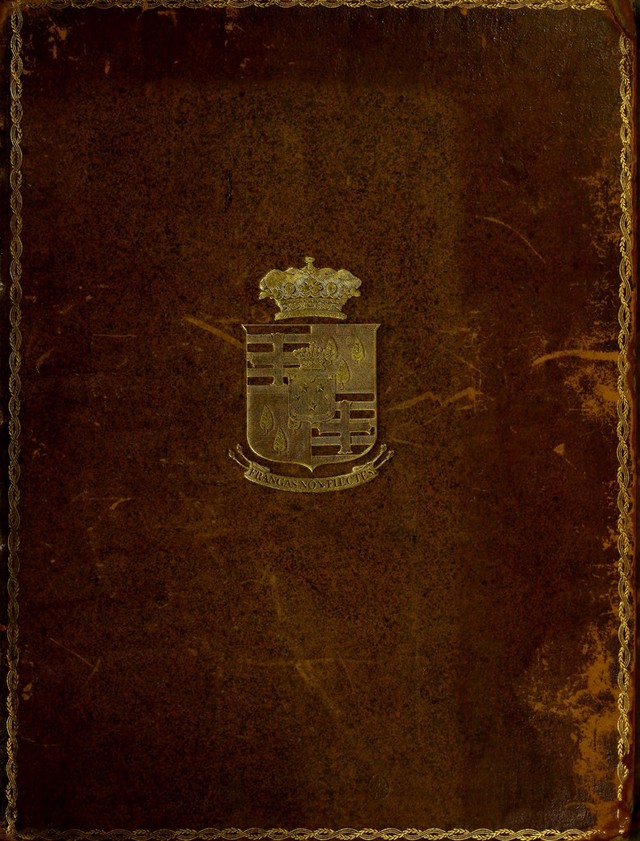 No text description is available for this image