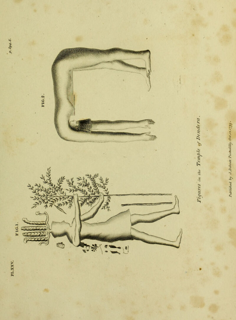 PL.XXV. Tubhihtd by J.DibrM Tù&idilly, Oct./z.fjyy .