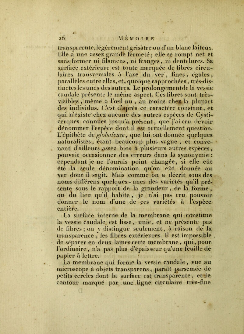 transparente, légèrement grisâtre ou d’un blanc laiteux. Elle a une assez grande fermeté ; elle se rompt net et sans former ni filamens, ni franges, ni dentelures. Sa surface extérieure est toute marquée de fibres circu- laires transversales à l’axe du ver , fines, égales, parallèles entre elles, et, quoique rapprochées, très-dis- tinctesles unes des autres. Le prolongementde la vessie caudale présente le même aspect. Ces fibres sont très- visibles , même à l’œil nu , au moins chez la plupart des individus. C’est d’après ce caractère constant, et qui n’existe chez aucune des autres espèces de Cysti- cerques connues jusqu’à présent, que j’ai cru devoir dénommer l’espèce dont il est actuellement question. L’épithète de globuleuse, que lui ont donnée quelques naturalistes, étant beaucoup plus vague , et conve- nant d’ailleurs assez bien à plusieurs autres espèces, pouvait occasionner des erreurs dans la synonymie : cependant je ne l’aurais point changée, si elle eût été la seule dénomination qu’011 eût donnée au ver dont il sagit. Mais comme on a décrit sous des noms diffèreus quelques-unes des variétés qu’il pré- sente sous le rapport de la grandeur , de la forme , ou du lieu qu’il habite , je n’ai pas cru pouvoir donner le nom d’une de ces variétés à l’espèce entière. La surface interne de la membrane qui constitue la vessie caudale, est lisse, unie, et 11e présente pas de fibres; 011 y distingue seulement, à raison de la transparence , les fibres extérieures. Il est impossible de séparer en deux lames cette membrane, qui, pour l’ordinaire, 11’a pas plus d’épaisseur qu’une feuille de papier à lettre. La membrane qui forme la vessie caudale , vue au microscope à objets transparens, parait parsemée de petits cercles dont la surface est transparente, et *Je contour marqué par une ligne circulaire très-fine