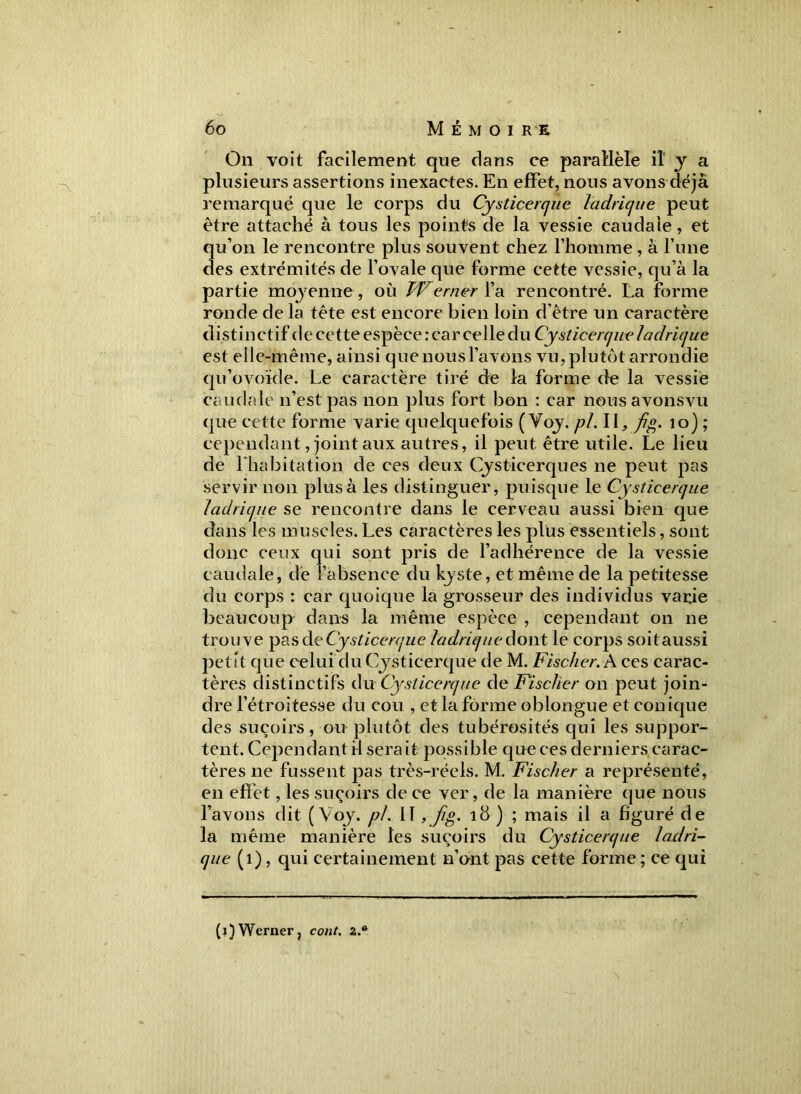 On voit facilement que dans ce parallèle il y a plusieurs assertions inexactes. En effet, nous avons déjà remarqué que le corps du Cysticerque ladrique peut être attaché à tous les points de la vessie caudale, et qu’on le rencontre plus souvent chez l’homme , à l’une des extrémités de l’ovale que forme cette vessie, qu’à la partie moyenne, où Werner l’a rencontré. La forme ronde de la tête est encore bien loin d’être un caractère distinctif de cette espèce : car celle du Cysticerque ladrique est elle-même, ainsi quenousl’avons vu, plutôt arrondie qu’ovoïde. Le caractère tiré de la forme de la vessie caudale n’est pas non plus fort bon : car nousavonsvu que cette forme varie quelquefois ( Voy. pi. Il, fi g. 10) ; cependant, joint aux autres, il peut être utile. Le lieu de l'habitation de ces deux Cysticerques ne peut pas servir non plus à les distinguer, puisque le Cysticerque ladrique se rencontre dans le cerveau aussi bien que dans les muscles. Les caractères les plus essentiels, sont donc ceux qui sont pris de l’adhérence de la vessie caudale, de l’absence du kyste, et même de la petitesse du corps : car quoique la grosseur des individus varie beaucoup dans la même espèce , cependant on ne trouve pasd e Cysticerque ladrique d ont le corps soit aussi petit que celui du Gysticerque de M. Fischer. A ces carac- tères distinctifs du Cysticerque de Fischer on peut join- dre l’étroitesse du cou , et la forme oblongue et conique des suçoirs, ou plutôt des tubérosités qui les suppor- tent. Cependant il sera it possible que ces derniers carac- tères ne fussent pas très-réels. M. Fischer a représenté, en effet, les suçoirs de ce ver, de la manière que nous l’avons dit (Voy. pl. Il ,Jig. 18 ) ; mais il a figuré de la même manière les suçoirs du Cysticerque ladri- que (1), qui certainement n’ont pas cette forme; ce qui (i)Werner, coût. z.a