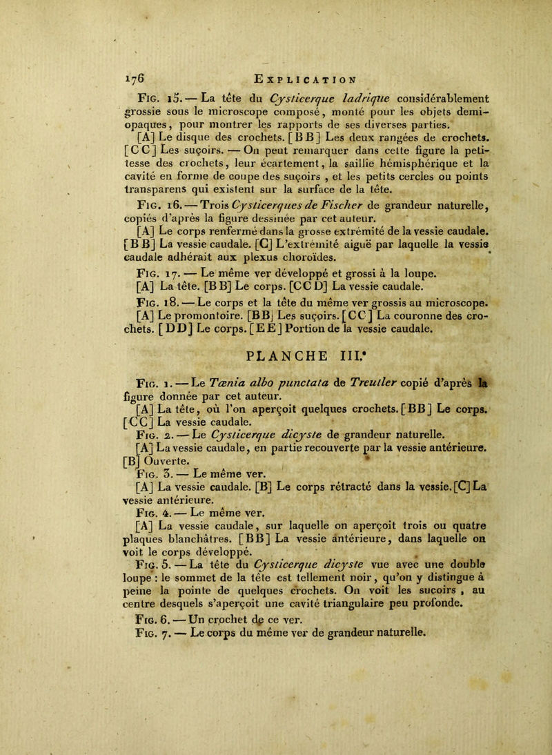 Fig. i5.— La tête du Cysticerque lad ri que considérablement grossie sous le microscope composé, monté pour les objets demi- opaques , pour montrer les rapports de ses diverses parties. [A] Le disque des crochets. [BB] Les deux rangées de crochets. [CC] Les suçoirs. — On peut remarquer dans cette figure la peti- tesse des crochets, leur écartement, la saillie hémisphérique et la cavité en forme de coupe des suçoirs , et les petits cercles ou points transparens qui existent sur la surface de la tête. Fig. 16. — Trois Cyslicerques de Fischer de grandeur naturelle, copiés d’après la figure dessinée par cet auteur. [A] Le corps renfermé dans la grosse extrémité de la vessie caudale. [B B] La vessie caudale. [CJ L’extrémité aiguë par laquelle la vessie caudale adhérait aux plexus choroïdes. Fig. 17. — Le même ver développé et grossi à la loupe. [A] La tête. [BB] Le corps. [CCD] La vessie caudale. Fig. 18. — Le corps et la tête du même ver grossis au microscope. [A] Le promontoire. [BBj Les suçoirs. [CC] La couronne des cro- chets. [DD] Le corps. [EE] Portion de la vessie caudale. PLANCHE III* Fig. 1. — Le Tœnia albo puncta ta de Treuller copié d’après la figure donnée par cet auteur. [A] La tête, où l’on aperçoit quelques crochets. [BB] Le corps. [CC] La vessie caudale. Fig. 2.—-Le Cysticerque dicyste de grandeur naturelle. [A] La vessie caudale, en partie recouverte parla vessie antérieure. [B] Ouverte. Fig. 3. — Le même ver. [A] La vessie caudale. [B] Le corps rétracté dans la vessie. [C] La vessie antérieure. Fig. 4. — Le même ver. [A] La vessie caudale, sur laquelle on aperçoit trois ou quatre plaques blanchâtres. [BB] La vessie antérieure, dans laquelle on voit le corps développé. Fig. 5. — La tête du Cysticerque dicyste vue avec une double loupe : le sommet de la tête est tellement noir, qu’on y distingue à peine la pointe de quelques crochets. On voit les suçoirs , au centre desquels s’aperçoit une cavité triangulaire peu profonde. Fig. 6. — Un crochet dp ce ver. Fig. 7. — Le corps du même ver de grandeur naturelle.