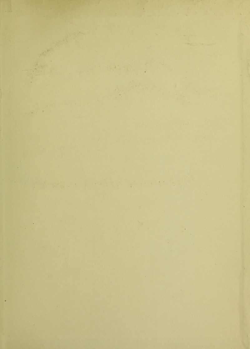 i* ... s* . . ■ V ■ ■ *•